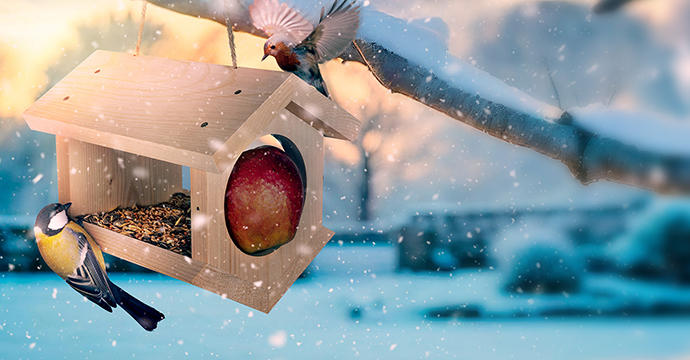 Vogel-Futterhäuser