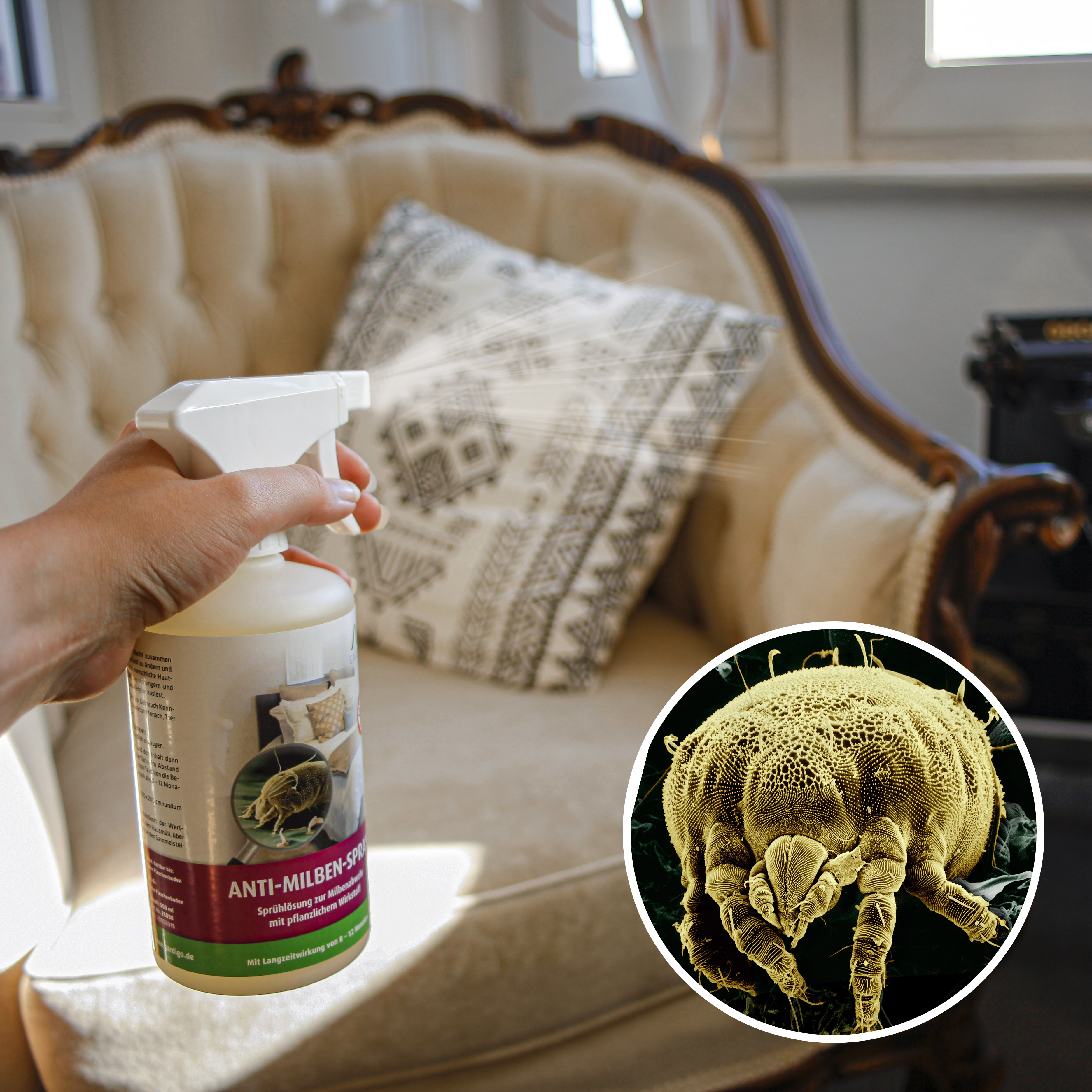 25098-Anti-Milben-Spray-Milben-im-Sofa-Milben-toeten Sie ernähren sich von unseren Hautschuppen und ihre Ausscheidungen können Allergien auslösen.