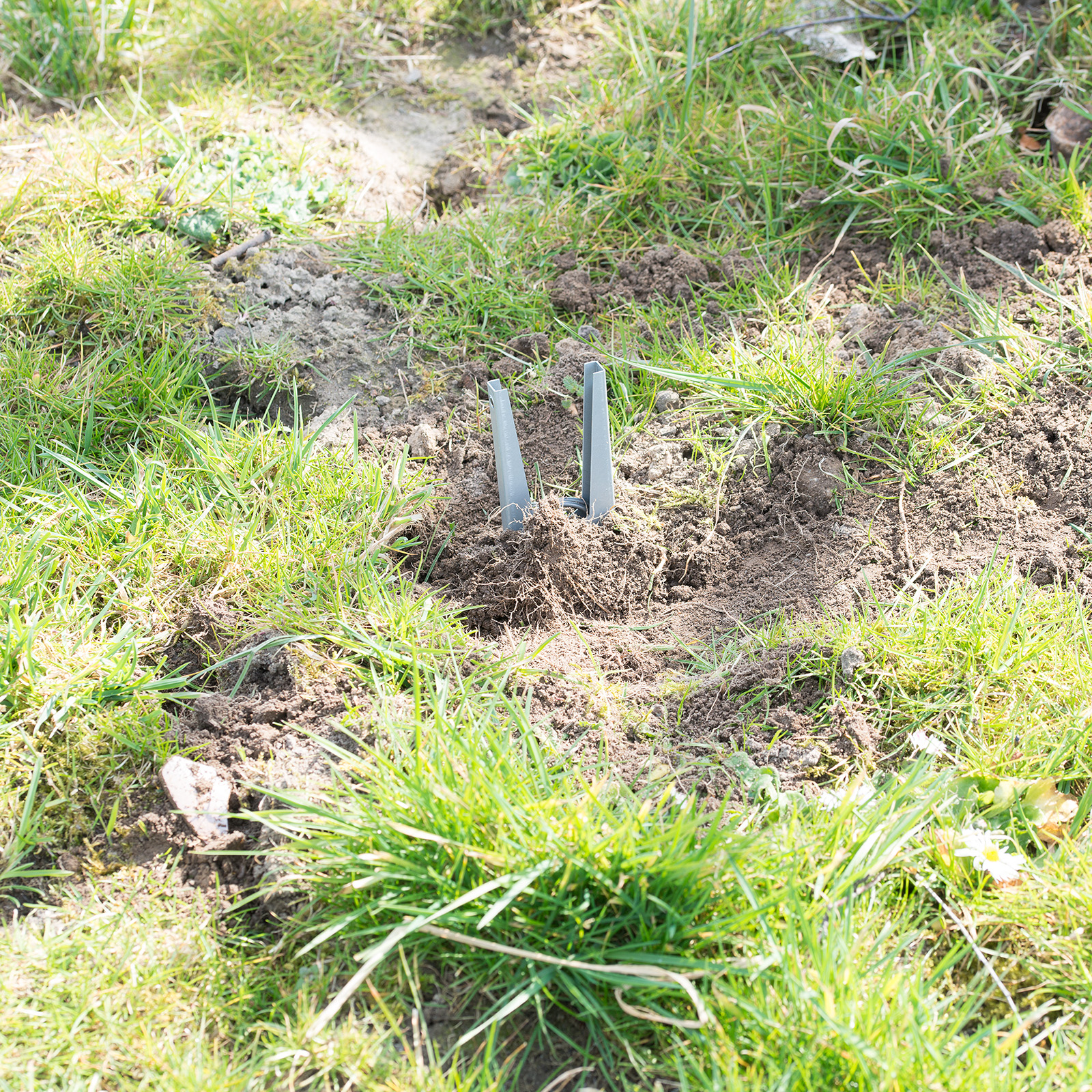 70070-Wuehlmaus-Zangenfalle-wiederverwendbar-Wuehlmaeuse-im-Beet Die Zange wird senkrecht in die Erde gesteckt und mit etwas Erde bedeckt.