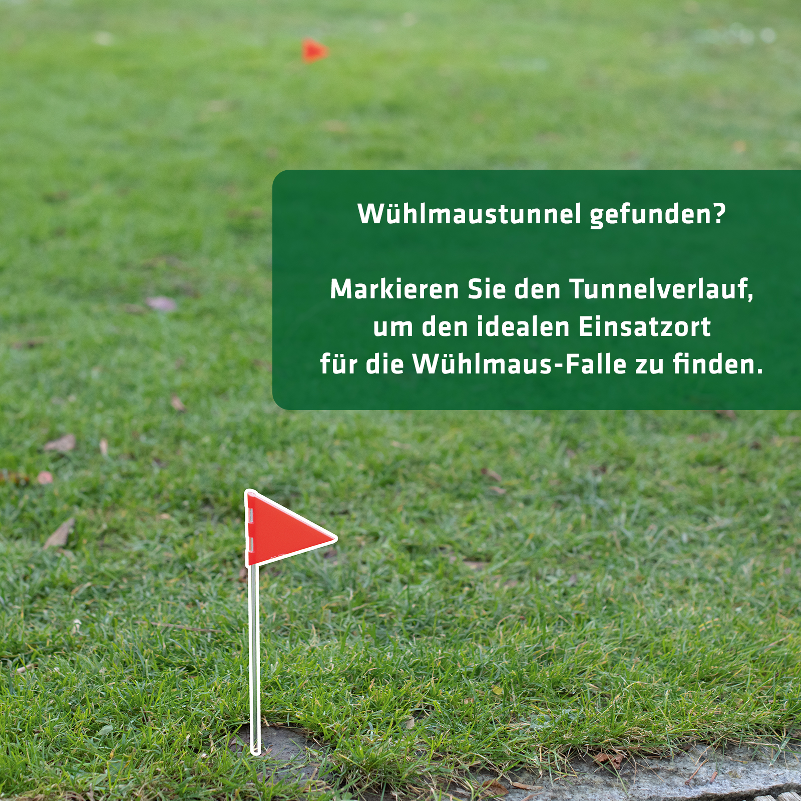 wuehmaus-tunnel-markieren-70044akYHtmacUutlCx Das Zubehör-Set hilft Ihnen dabei die Gänge der Wühlmaus ausfindig zu machen und das Problem direkt anzugehen.