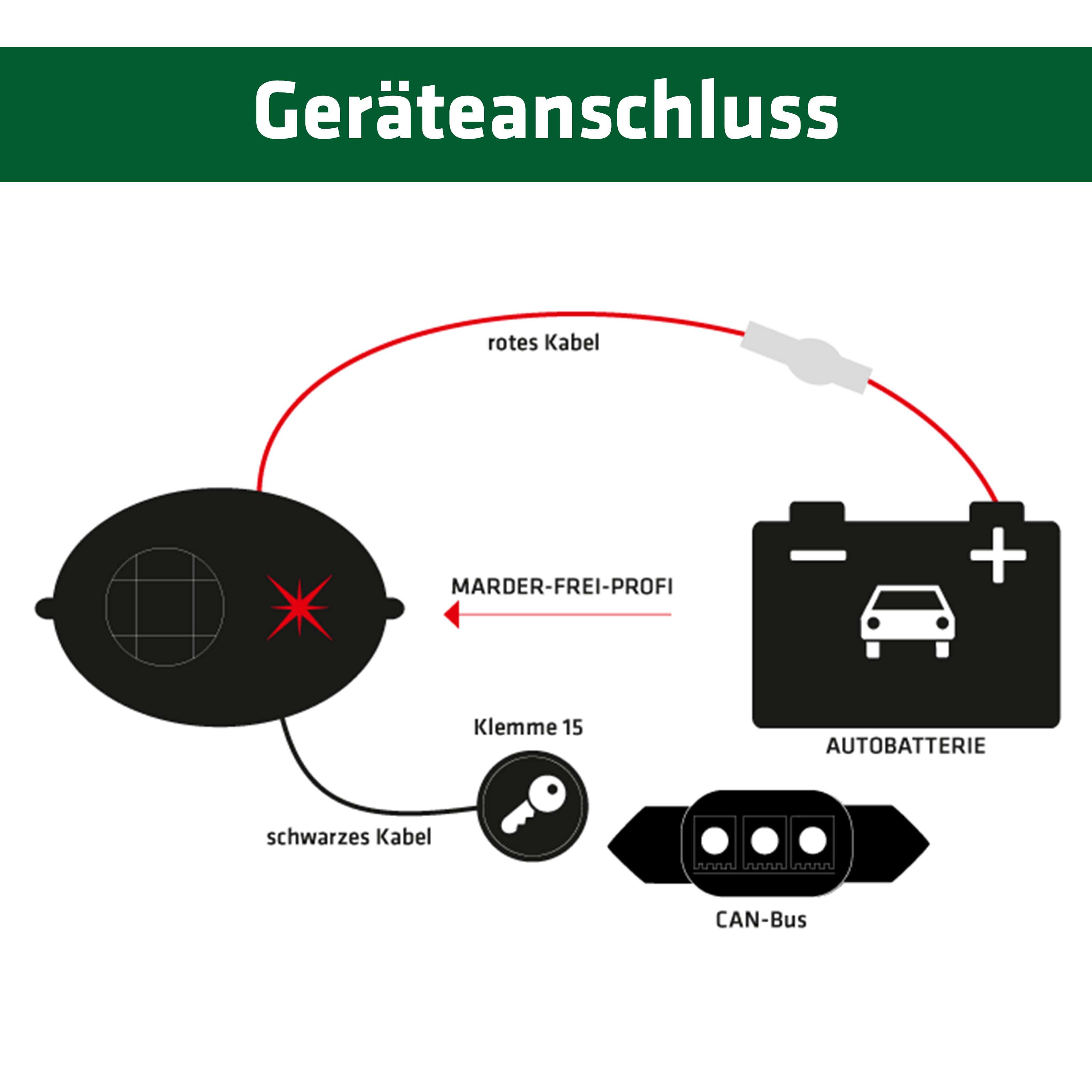 Marderschutz richtig anschließen.
