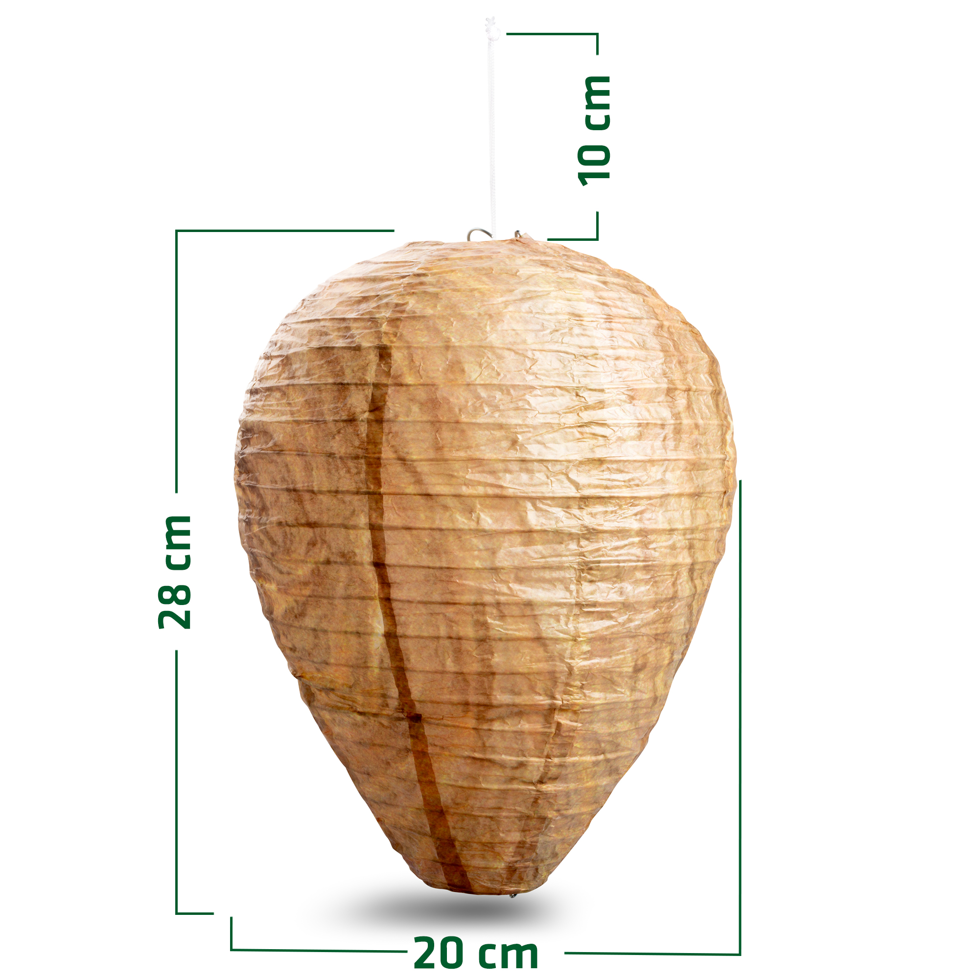 abmessungen-666612 Die Abmessungen des Produkts.