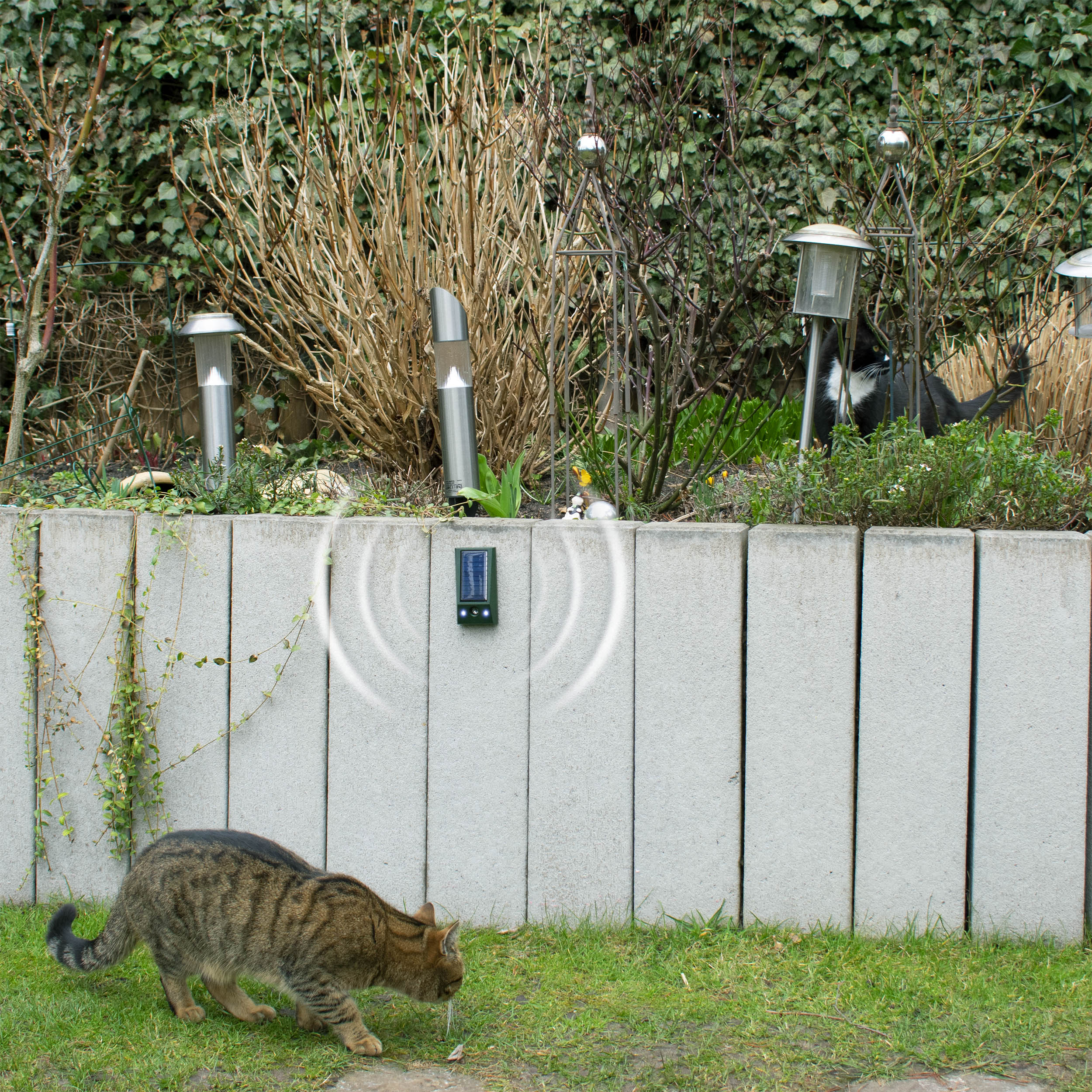 60068-solar-tierabwehr-basic-tiervertreiber-katzen Bringen Sie das Gerät in der passenden Höhe an. Bei Nagern auf Knöchelhöhe, bei Hunden und Katzen auf Kniehöhe.