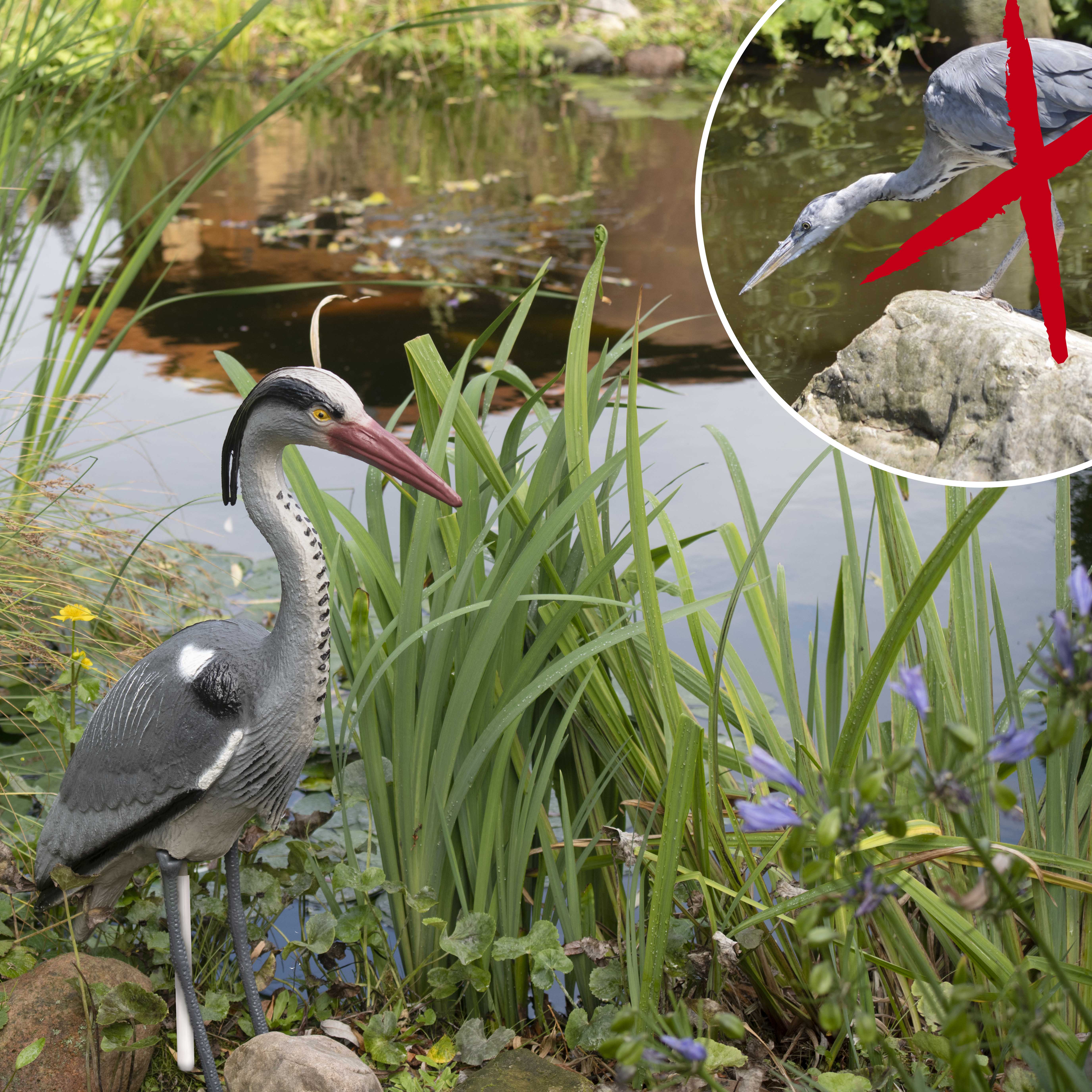 60101-Vogelabwehr-Reiher-Gartenteich-Fische-schuetzen