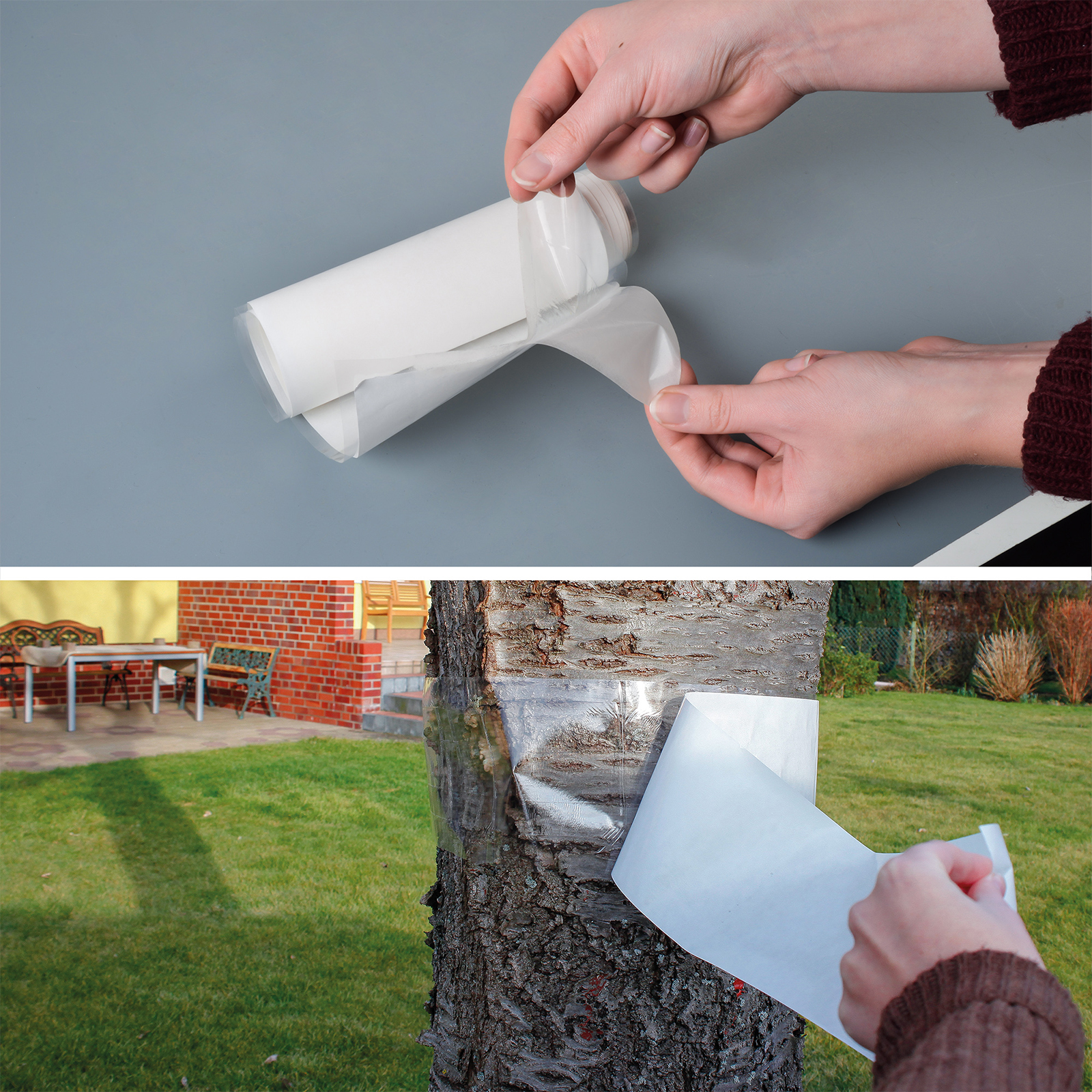 66802-Baum-Leim-Ring-5m-Folie-abziehen-durchsichtig Achten Sie beim Anbringen darauf, dass der Leimring keine Öffnungen für Insekten zum Durchkrabbeln bietet.