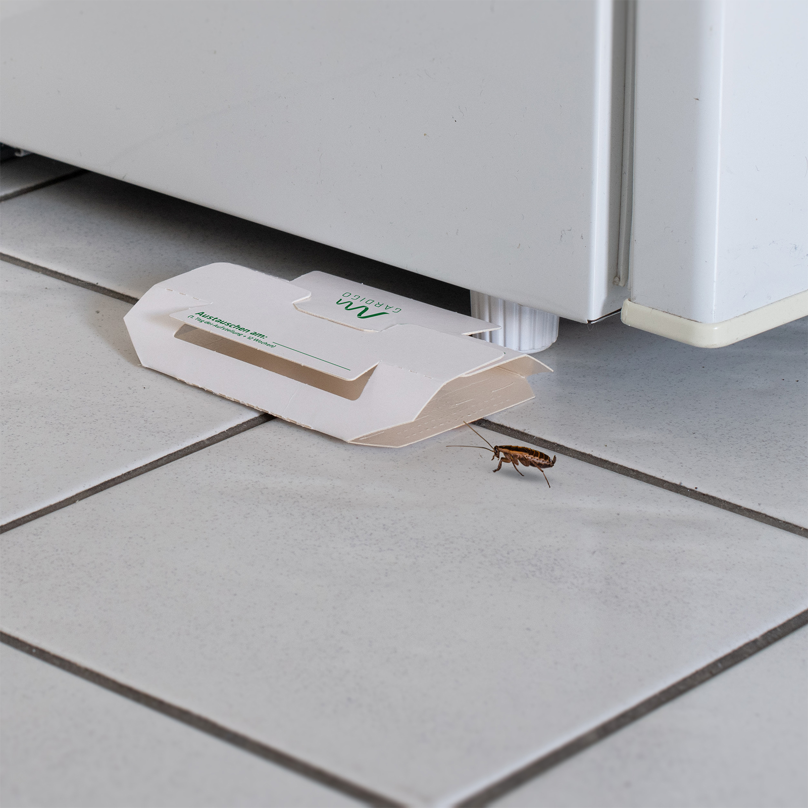 668043-Schaben-Falle-3er-Set-Leimfalle-Monitoring Da die Insekten nachtaktiv sind ist es schwierig den Befall zu erkennen und meist ist es dann schon zu spät.