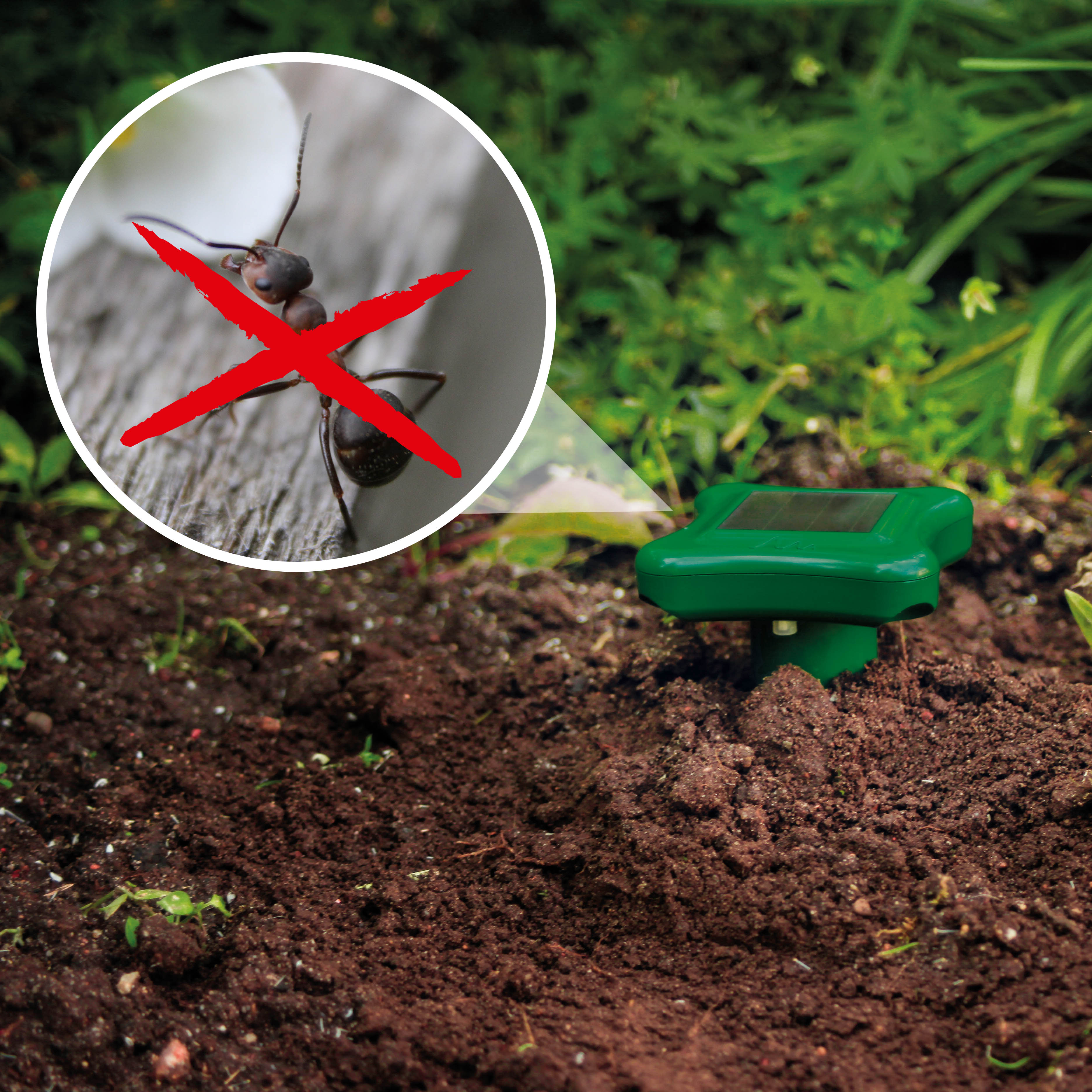 70031-Solar-Ameisen-Abwehr-Garten-Ameisen-vertreiben Das Gerät schadet den Tieren nicht. Sie werden durch den Schall auf Dauer gestört und sie suchen sich einen ruhigeren Ort.