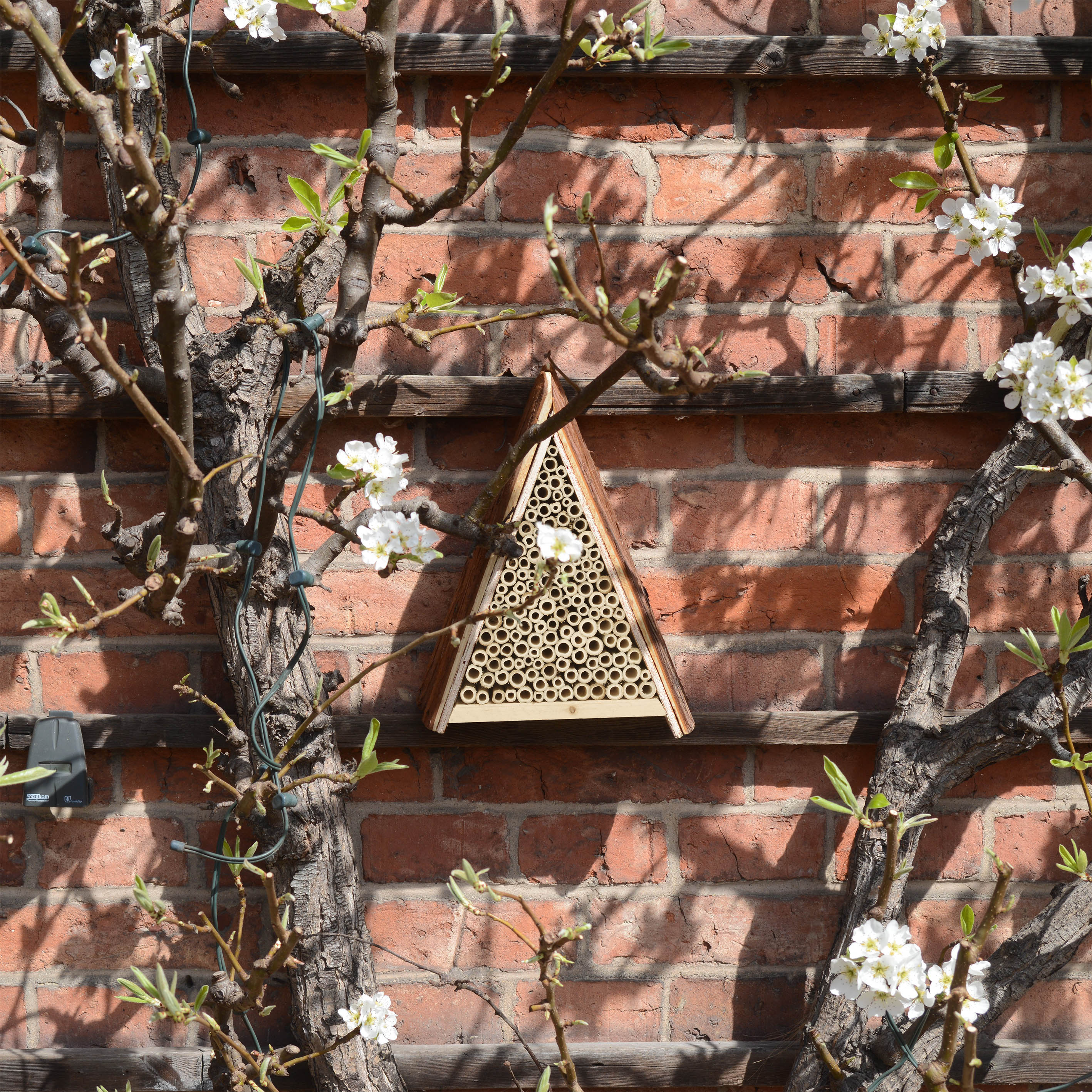 90541-Bienenhotel-Insekten-im-Garten-unterstuetzen An einem sonnigen, geschützen Ort fühlen sich die Wildbienen besonders wohl.