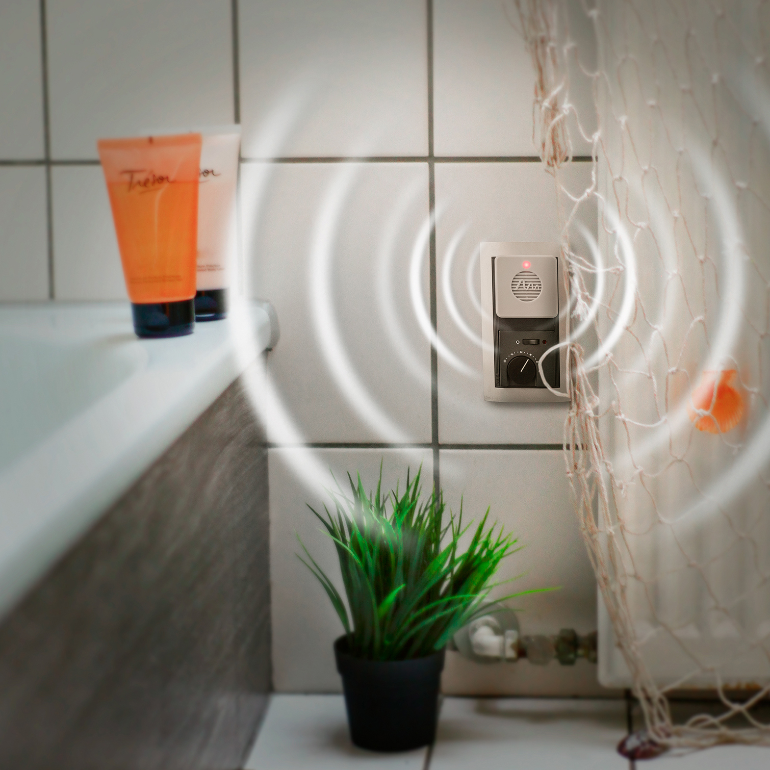 spinnen-vertreiben-badezimmer-66982 Im Bad haben viele Menschen Probleme mit Spinnen. Beugen Sie jetzt vor!