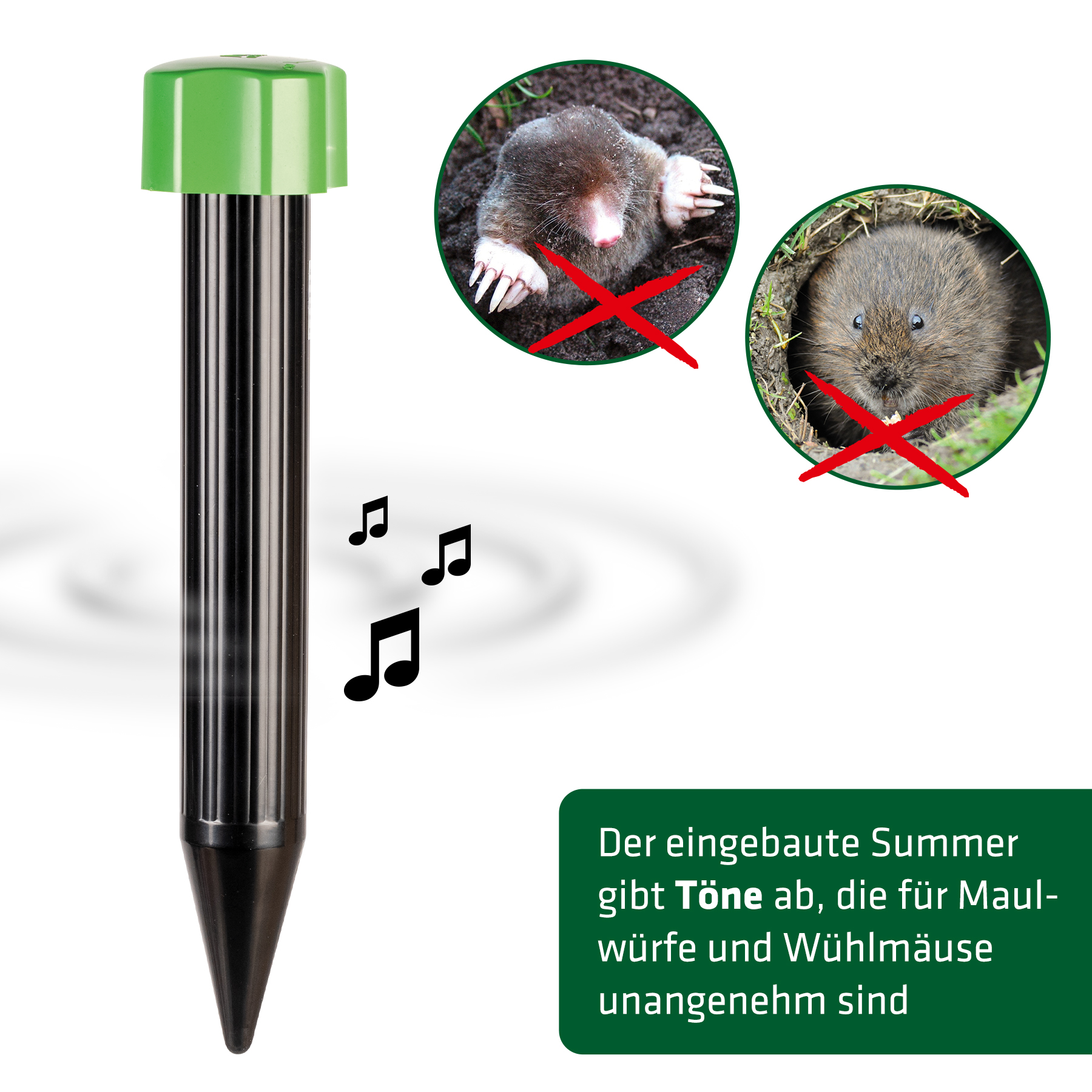 Maulwürfe und Wühlmäuse haben ein gutes Gehör & die Töne stören sie in ihrer Lebensweise. 