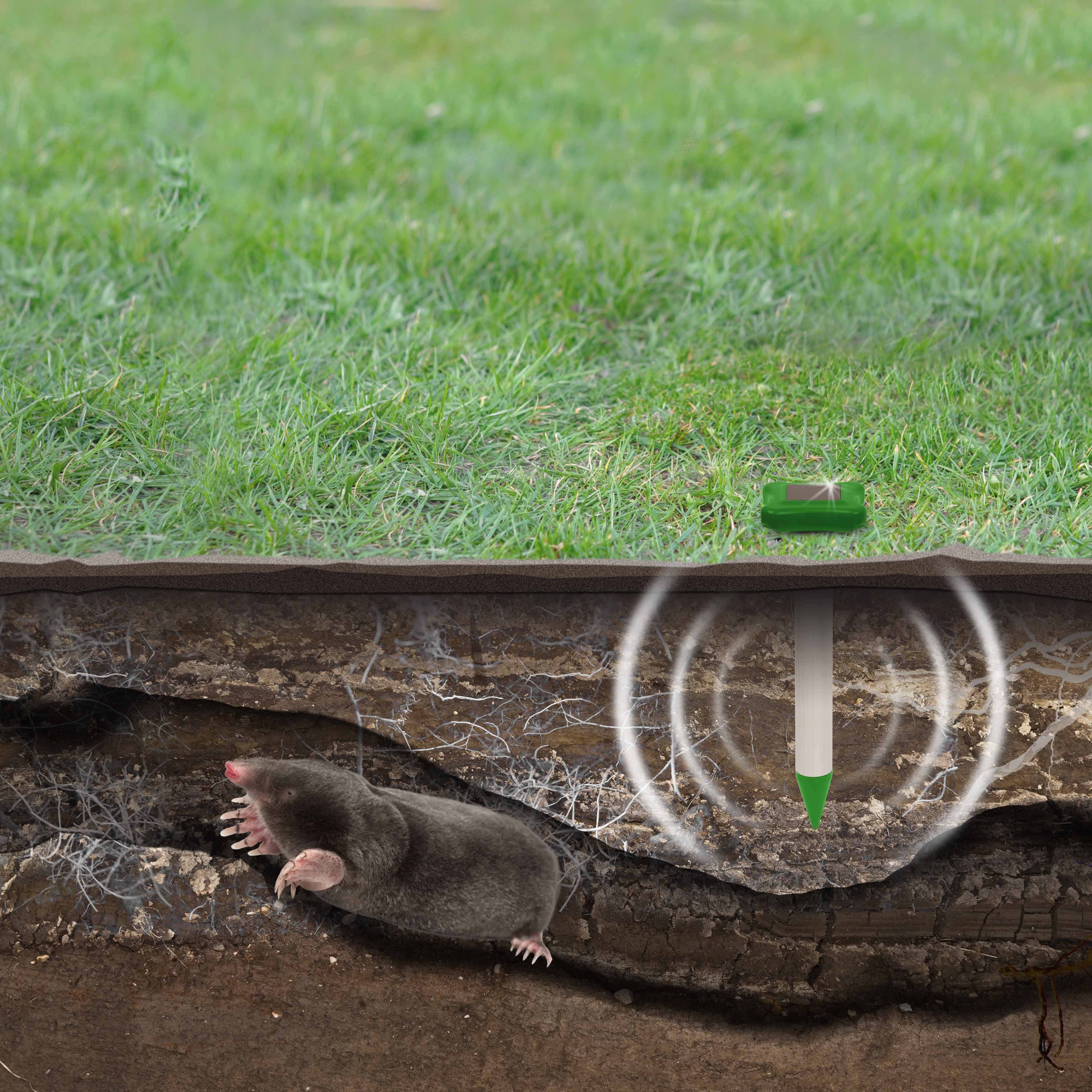 70027-Solar-Maulwurf-Abwehr-Maulwurfvertreiber-Wuehlmaeuse-vertreiben Damit sich der Schall unterirdisch optimal ausbreiten kann sollten sie das Gerät so weit wie möglich in der Erde versenken.