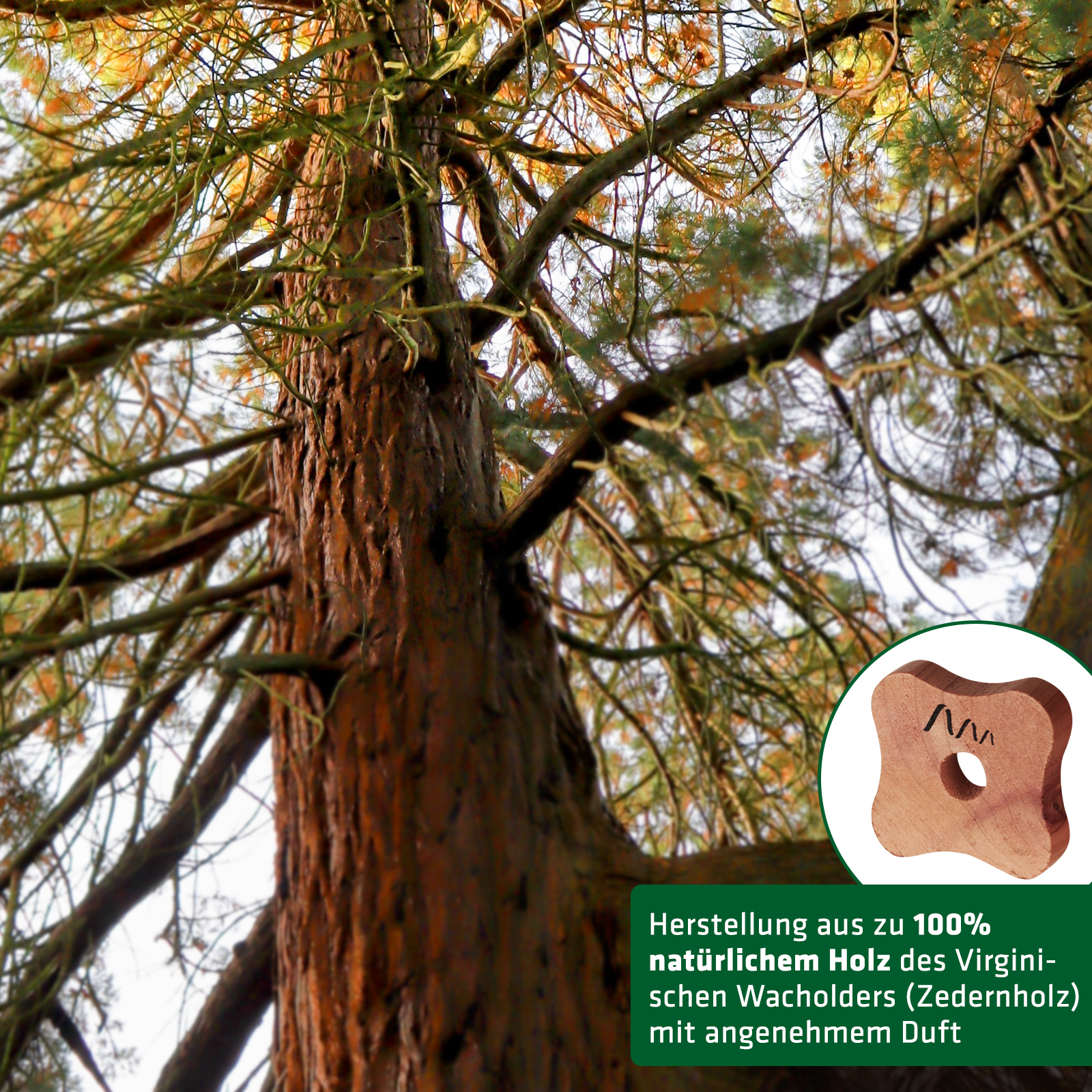 Zedernholz-gegen-motten-6670412 Mit unserem natürlichen Mottenvertreiber aus Virginischem Wacholder, oder auch Eastern Red Cedar, bleiben die Motten fern.