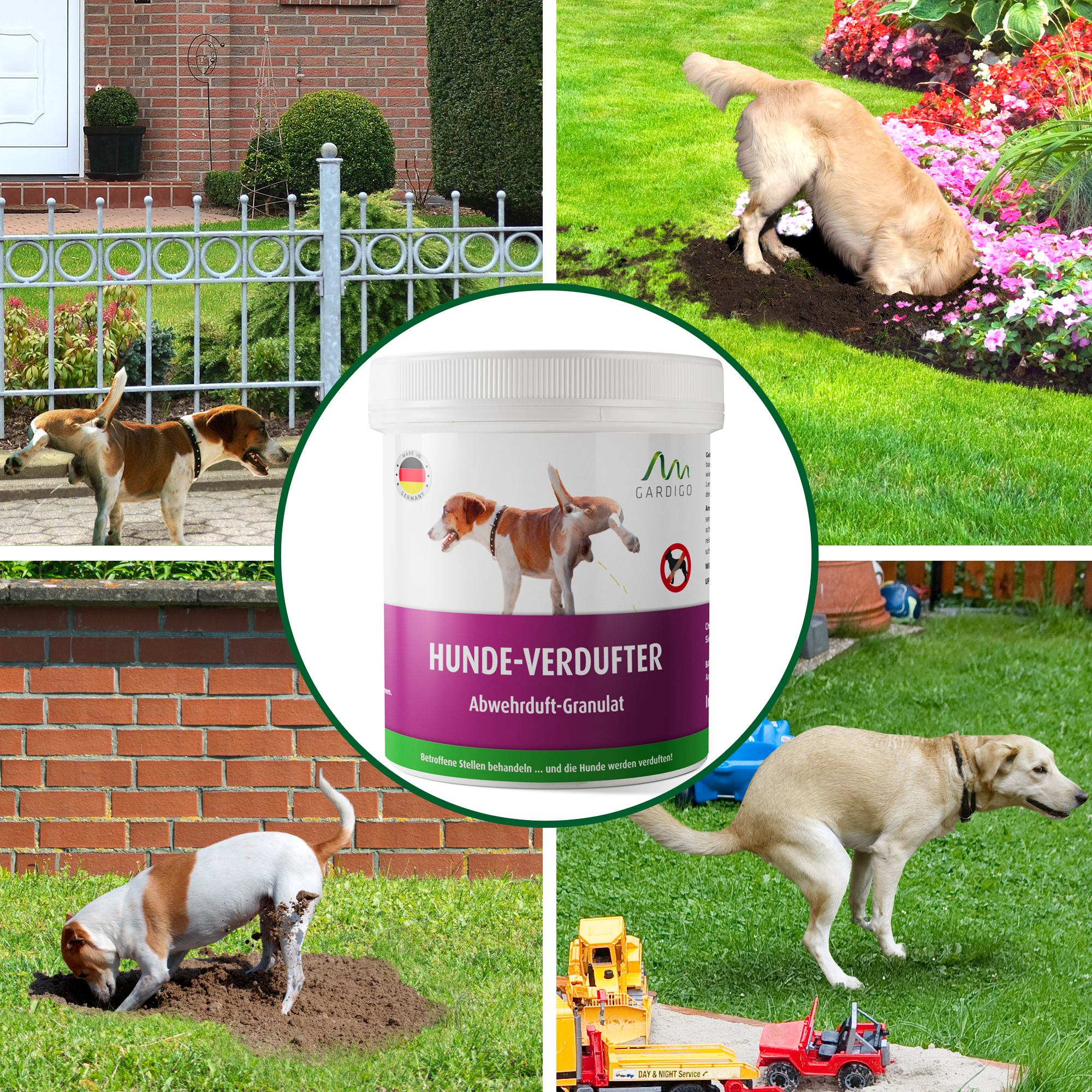 hunde-granulat-anwendungsbereiche-25103 Markierungen, verwüstete Beete, Hundehaufen und das alles auf Ihrem Grundstück? Wehren Sie die fremden Hunde ab.