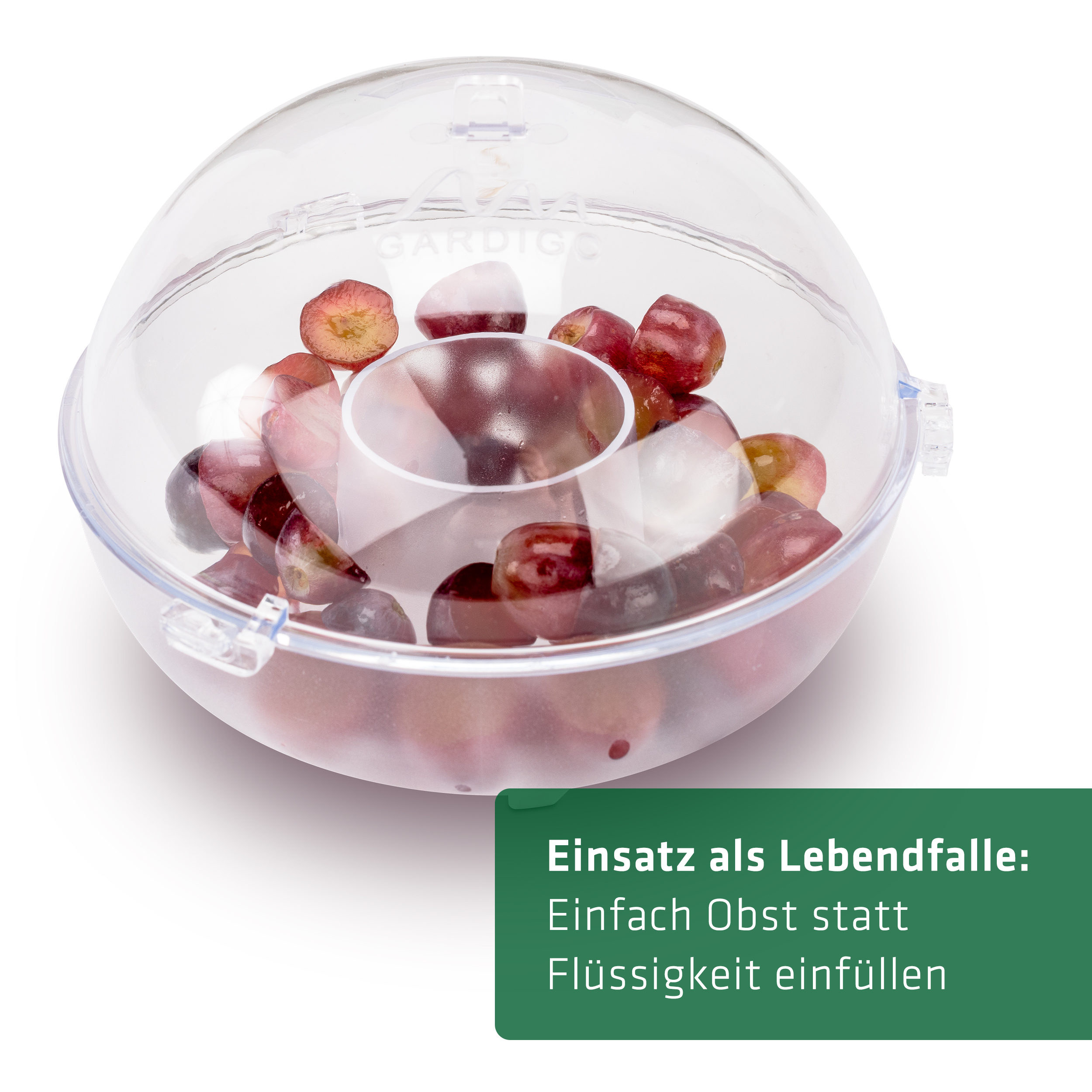 66644-Wespenfaenger-2er-Set-Lebend-fangen Mit etwas Obst lässt sich die falle auch als Lebendfalle verwenden.
