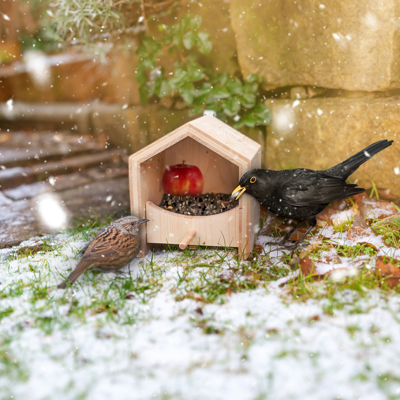 voegel-futtern-weichfutter-futterhaus-92450 Einige Vögel wie die Amsel oder die Heckenbraunelle fressen am liebsten in Bodennähe. Auch so kann man das Futterhaus einsetzen.