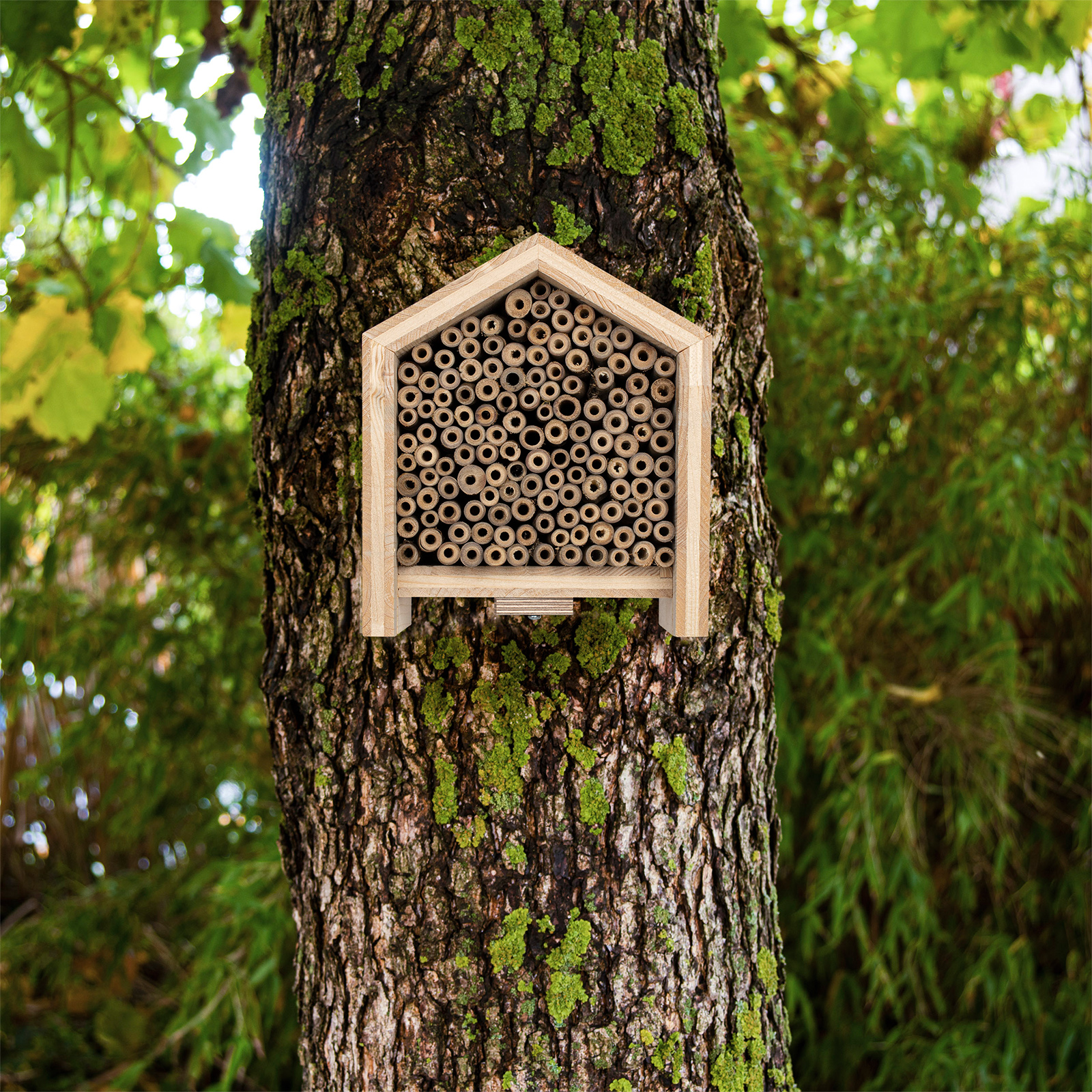 92304-tier-haus-bienen-aufhaengen-robust Es wird ein Nagel aus Aluminium mitgeliefert, der nicht rostet und somit unschädlich für Bäume ist.