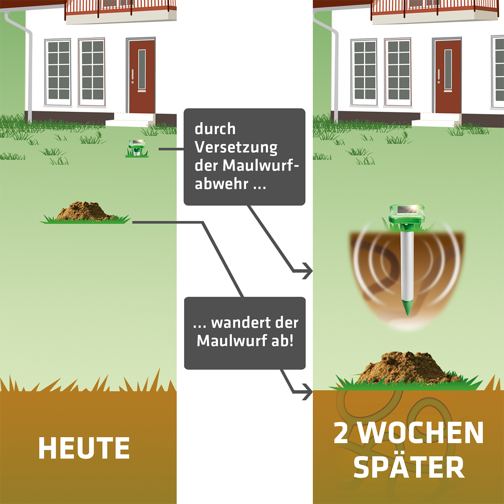 maulwurfpiepser-70027_anwendung Maulwurfpiepser richtig angewendet: Treiben Sie die Maulwürfe vom Haus weg in Richtung Grundstücksgrenze.