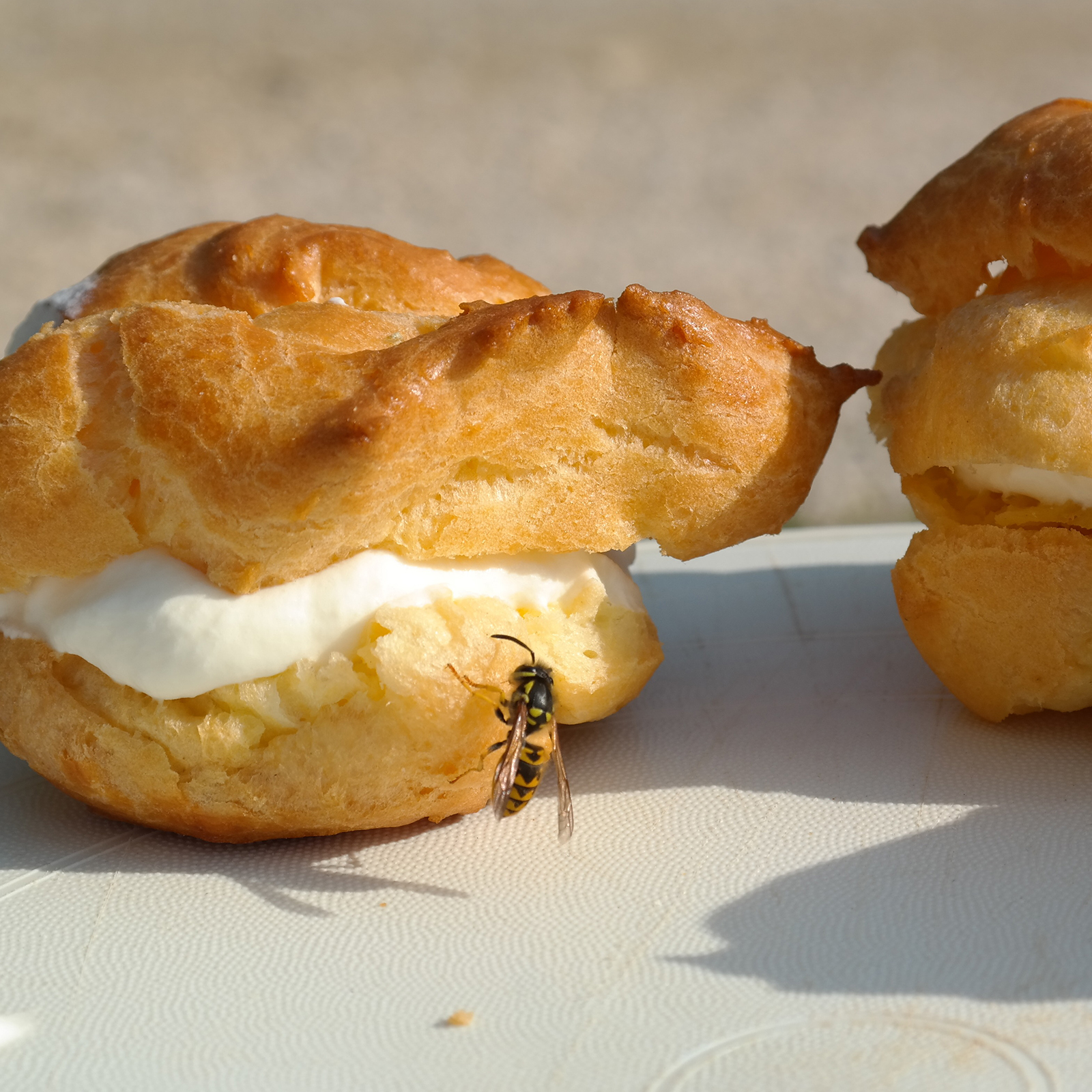 666653-Wespenfalle-3er-Set-Lockmittel-Kuchen-GrillenGMhm4tNDdeZrJ Verwenden Sie eine Mischung aus Zuckerwasser und Essig um die Wespen in die Falle zu locken.