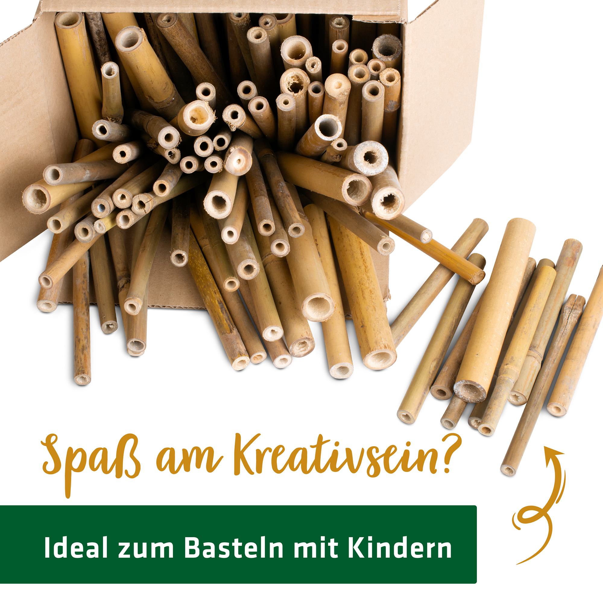 insektenhotel-bauen-bambus-90558 Sobald ein Röhrchen von einer Biene benutzt wurden sollten Sie diese Röhre auswechseln um neue Bienen anzulocken.