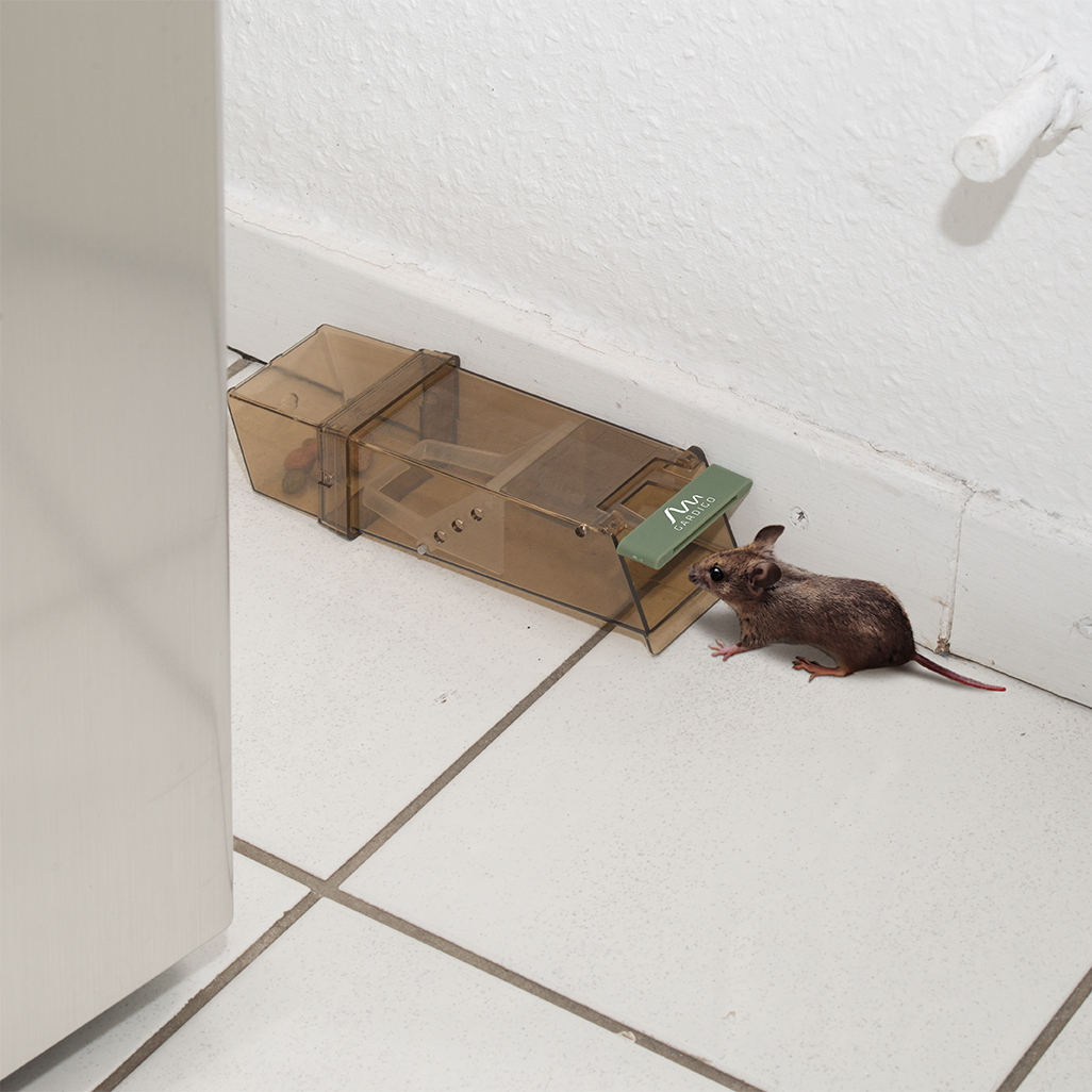 62358-Maus-Lebendfalle-Mittel-gegen-Maeuse-Kueche0v8vZFxxlBgKb Mäuse werden in dieser Falle lebend gefangen.