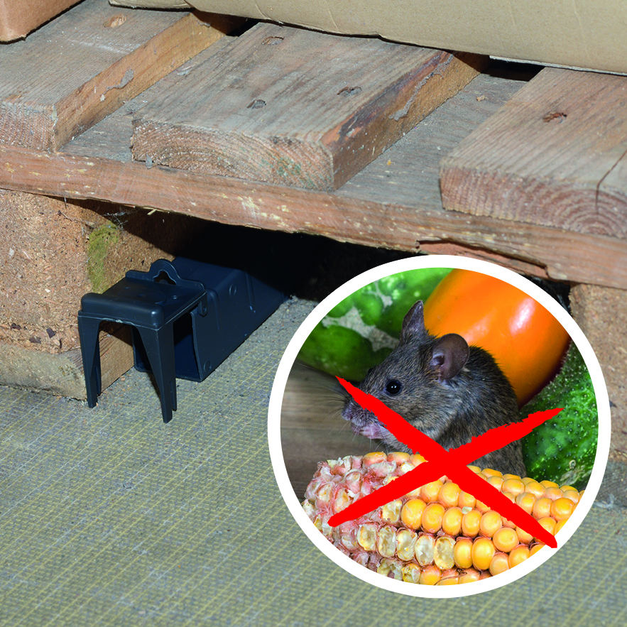 62350-Wipp-Mausefalle-Vorratsraum-Garage Unsere Wipp-Mausefalle kann Ihnen dabei helfen Ihr Mäuseproblem zu lösen.