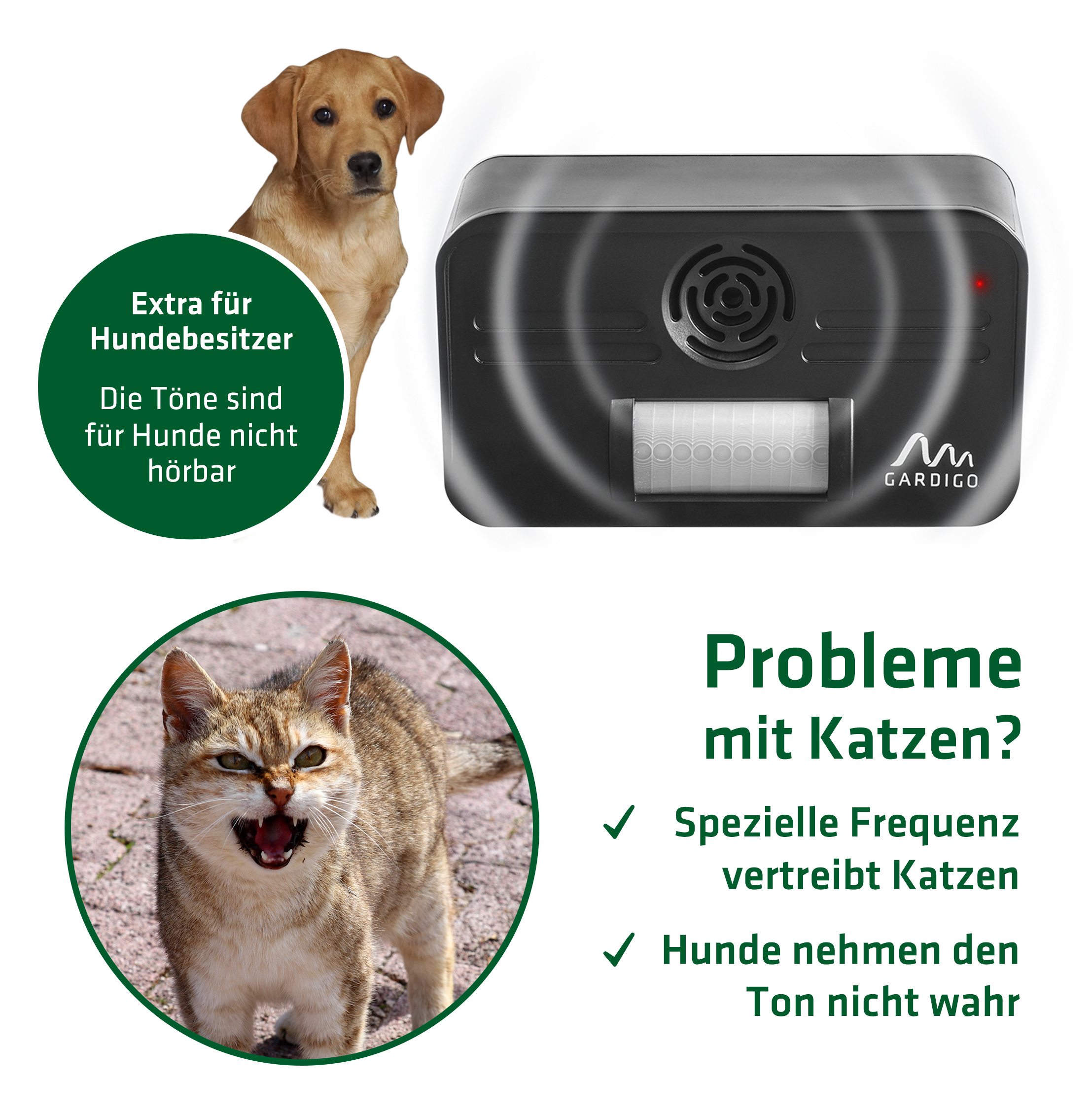 katzenschreck-hundebesitzer-60062