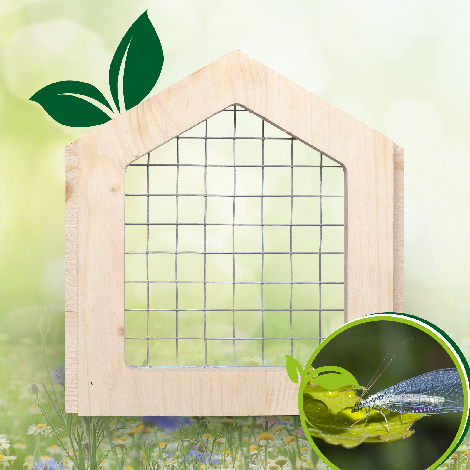 92172-frontblende-nutzinsekten-Holzwolle-befuellen Florfliegen und Ohrenkneifer sind überaus nützlich im Garten denn sie fressen Blattläuse und halten den Garten gesund.