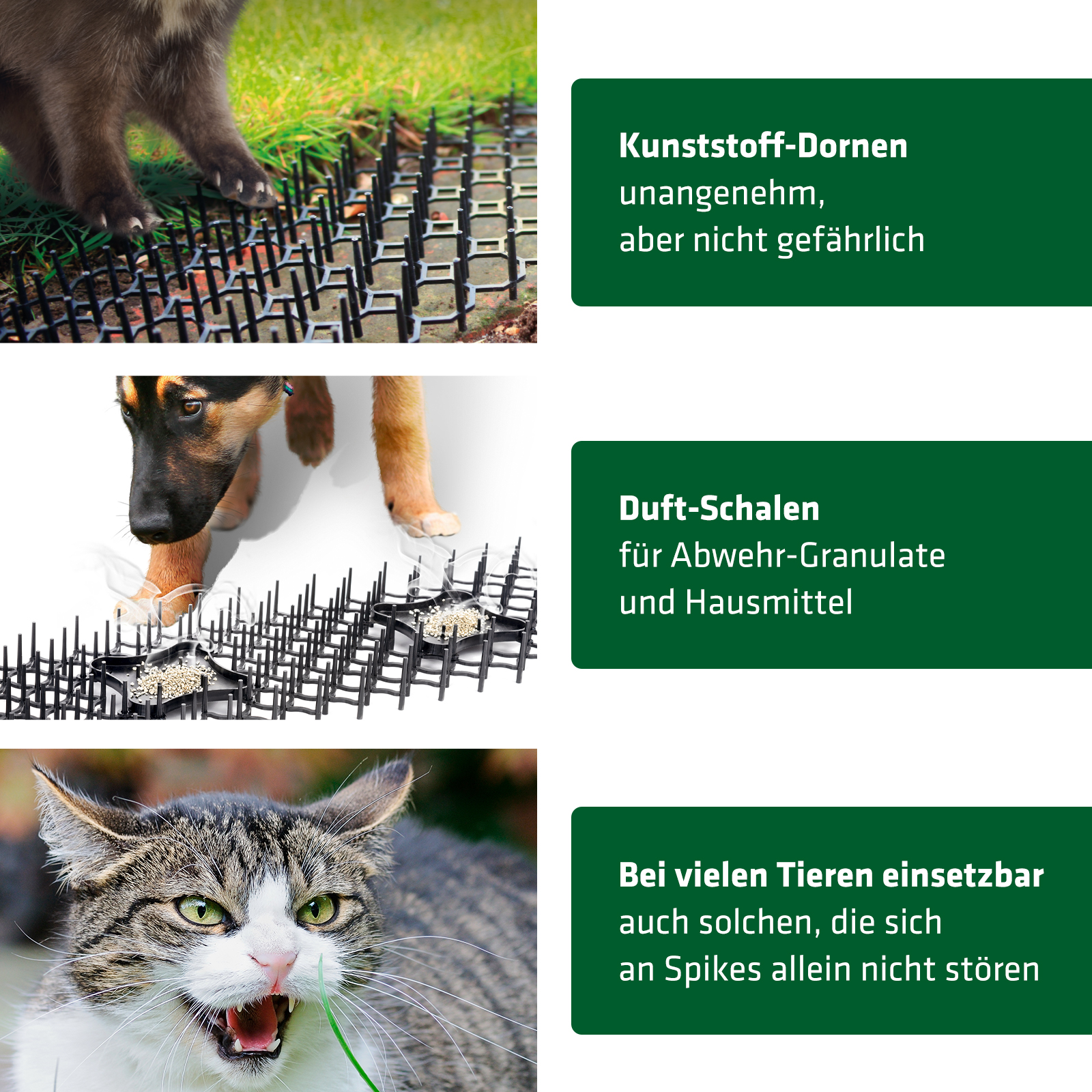 dornengitter-gegen-tiere-600416 Kunststoff-Spikes gegen Hunde, Marder, Katzen, Kaninchen