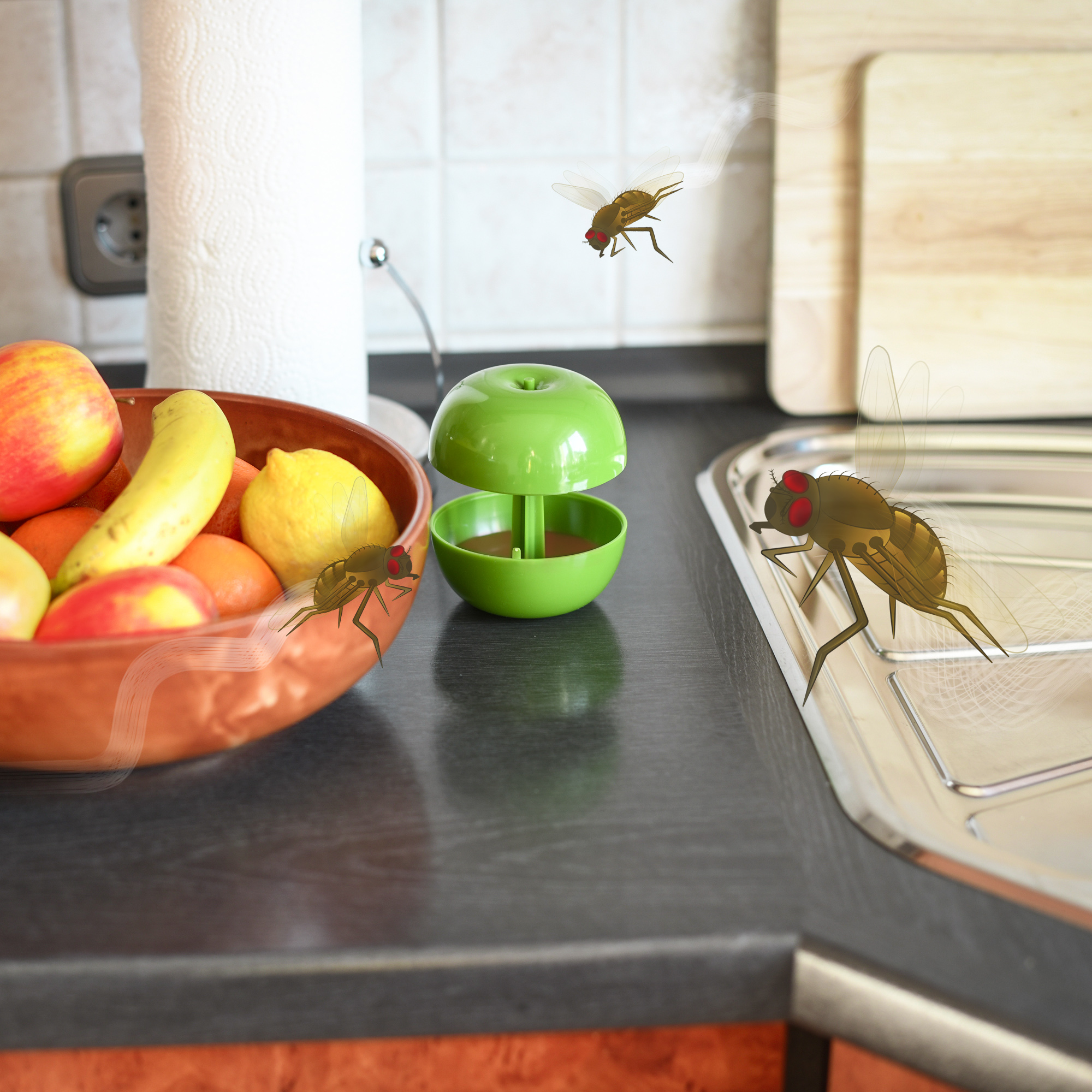 666633-Fruchtfliegen-Falle-Apfel-3er-Set-Lockmittel-Klebefalle Frisches Obst zieht die Fruchtfliegen an und auf der Schale befinden sich meist bereits im Supermarkt einige, winzige Eier.