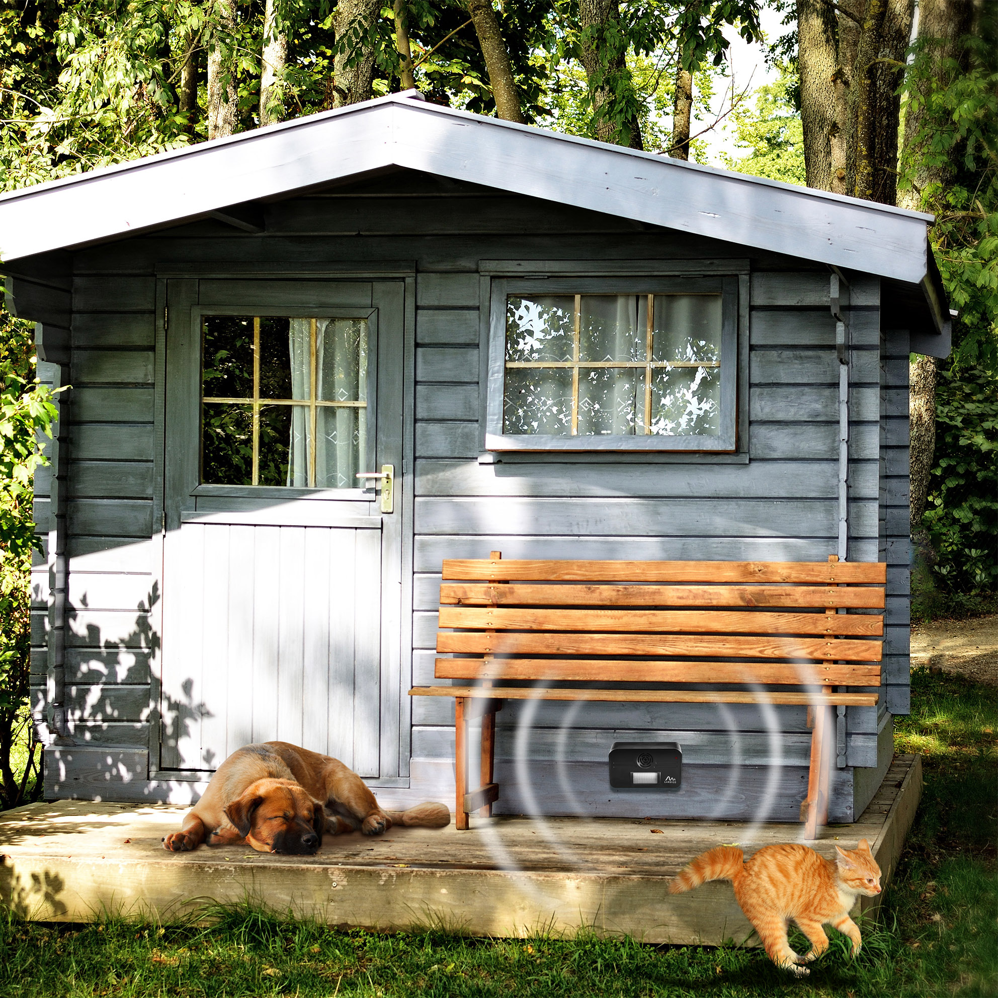 katzen-vertreiben-ultraschall-60062