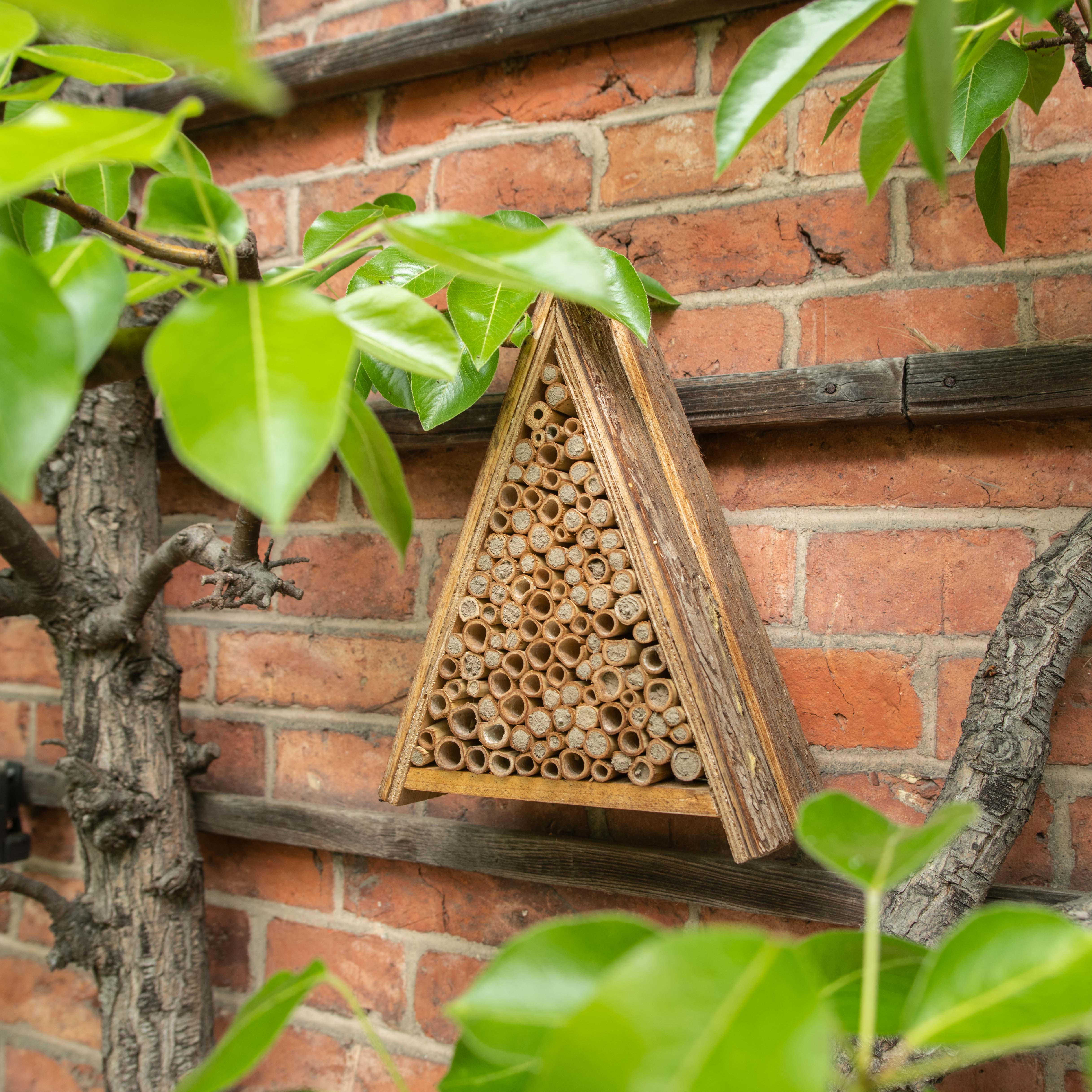 90541-Bienenhotel-Artenvielfalt-Wildbienen-anlocken Sind die Röhrchen vorne geschlossen dann liegen dort Bieneneier, die sich gerade entwickeln.