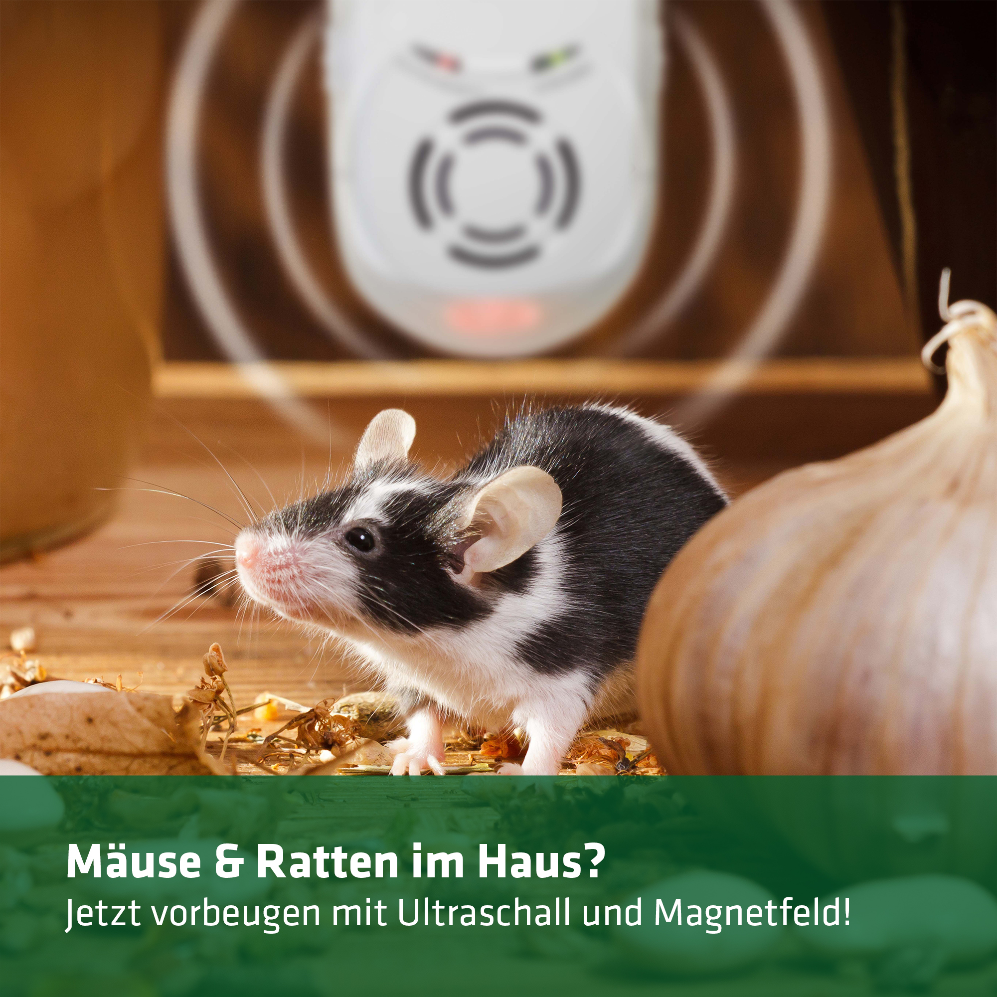 Mäuse und Ratten bekämpfen mit Ultraschall und Magnetfeld – auch vorbeugend!
