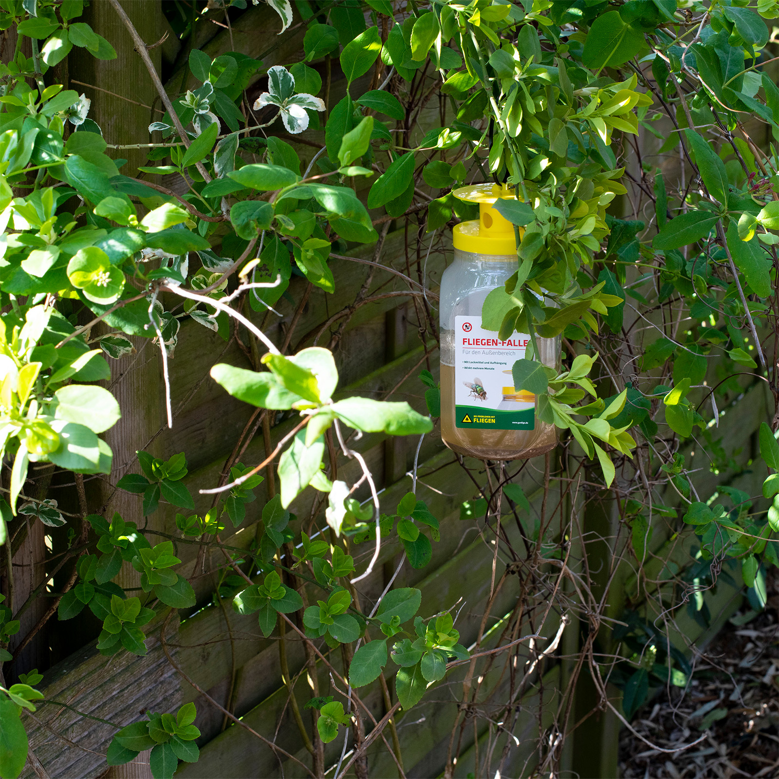66805-fliegen-falle-fliegenfangen-garten Nach einigen Monaten lässt die Lockwirkung nach und Sie können entweder die ganze Falle entsorgen oder das Lockmittel einfach nachkaufen.