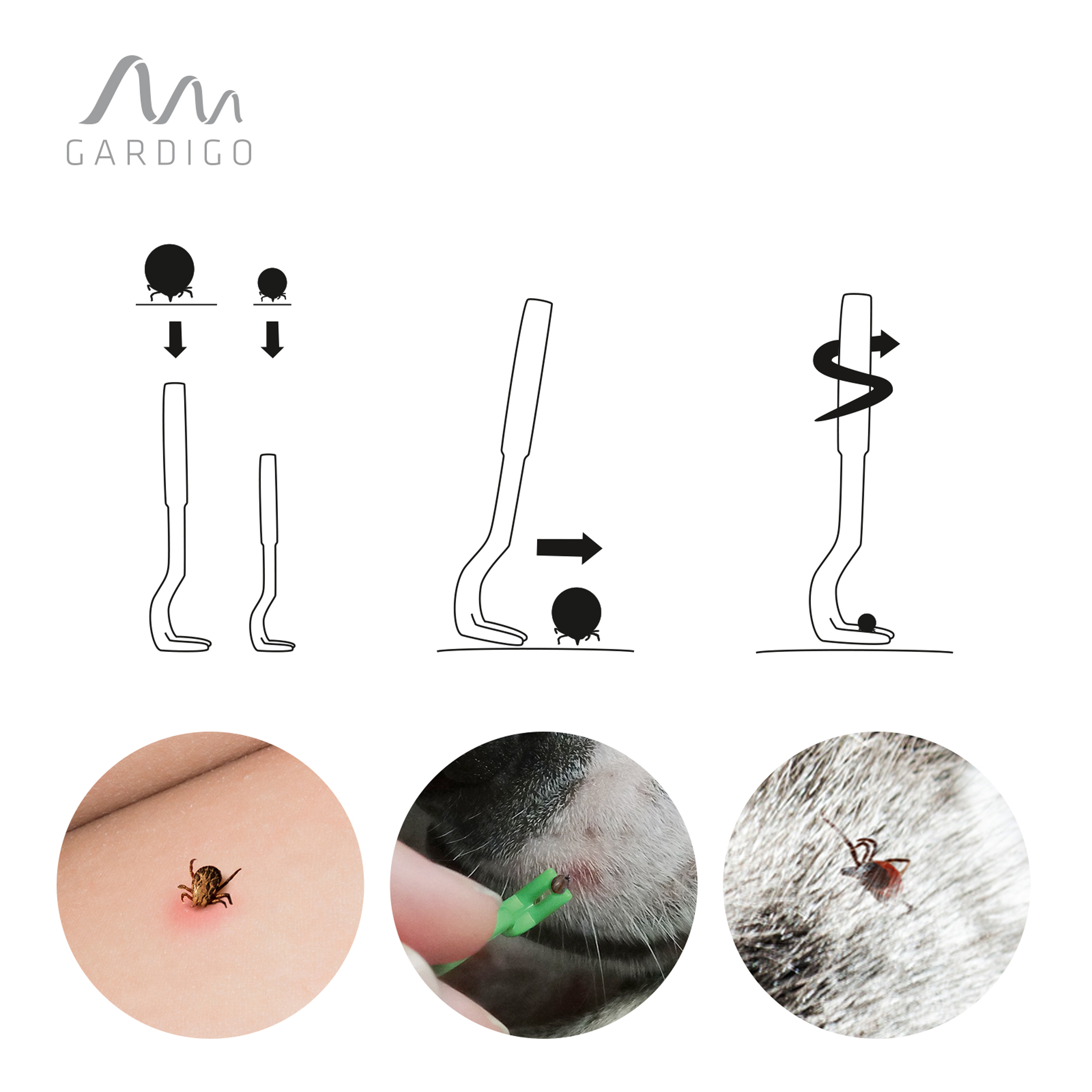 Zecken von Menschen und Haustieren entfernen mit den Zeckenhaken