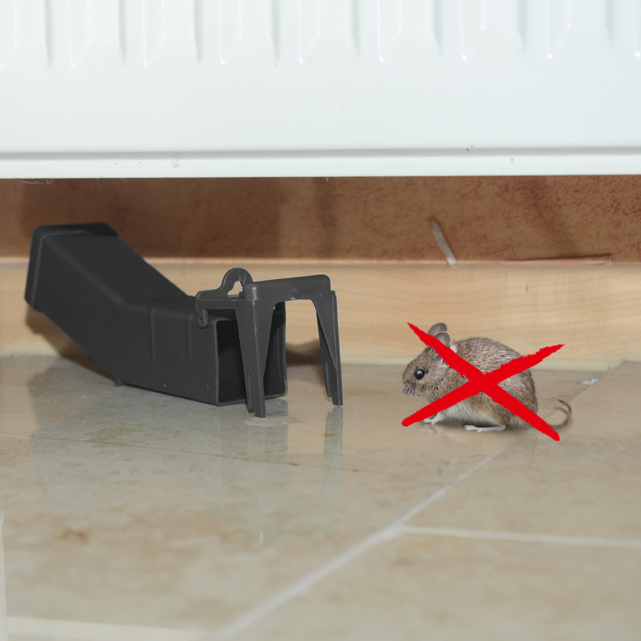 62350-Wipp-Mausefalle-Problem-mit-Maeusen-wiederverwendbar Die Falle ist schnell einsatzbereit und kann auch immer wieder gereinigt und neu eingesetzt werden.