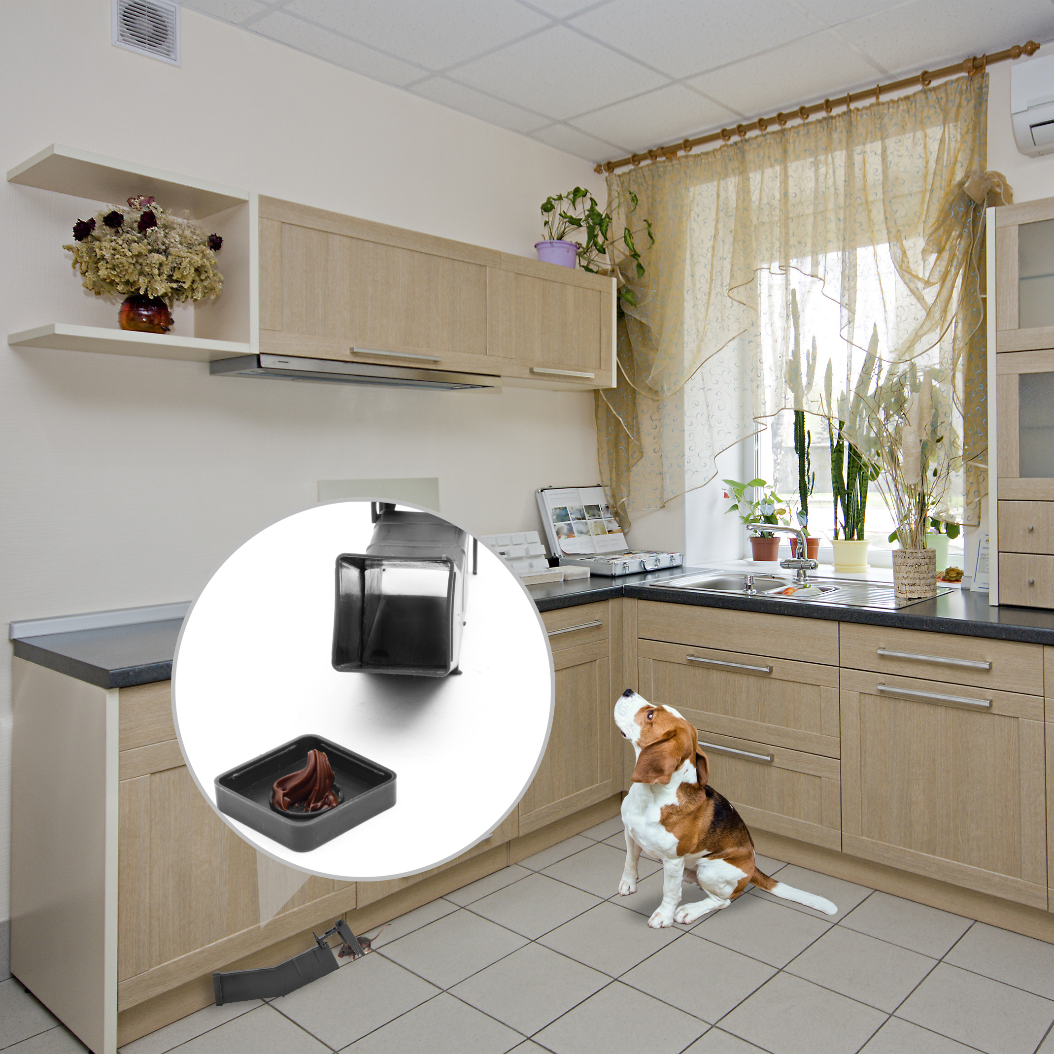 62350-Wipp-Mausefalle-Maeuse-lebend-fangen-Streichkoeder Mäuse können Krankheiten übertragen und das geht besonders schnell wen sie in Kontakt mit unseren Lebensmitteln kommen.