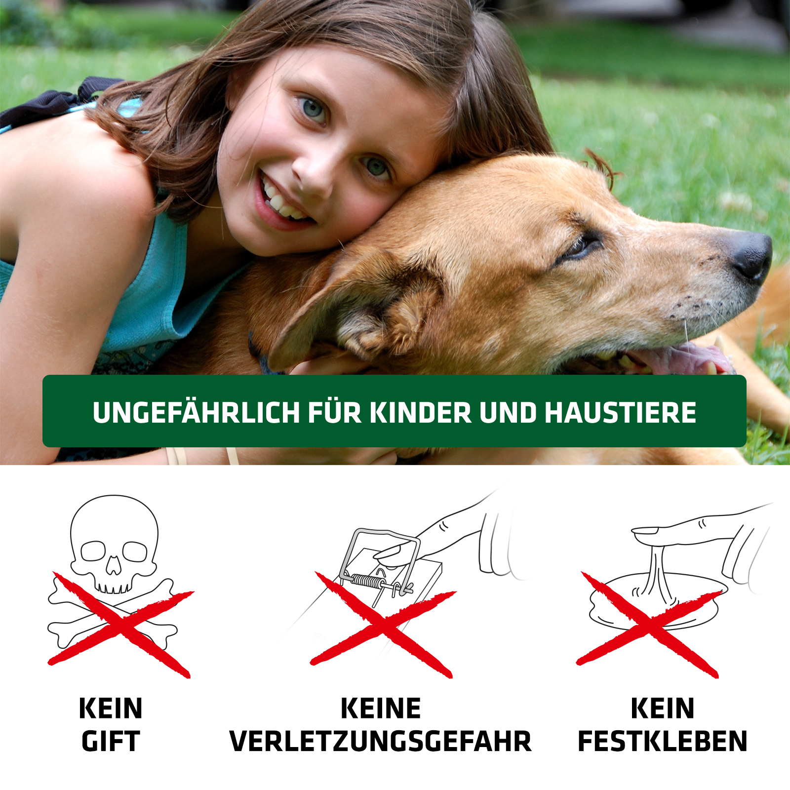 62358-Maus-Lebendfalle-ohne-Gift-hygienisch Im Gegensatz zu Fallen mit Schlagmechanismus ist die Verletzungsgefahr deutlich verringert.