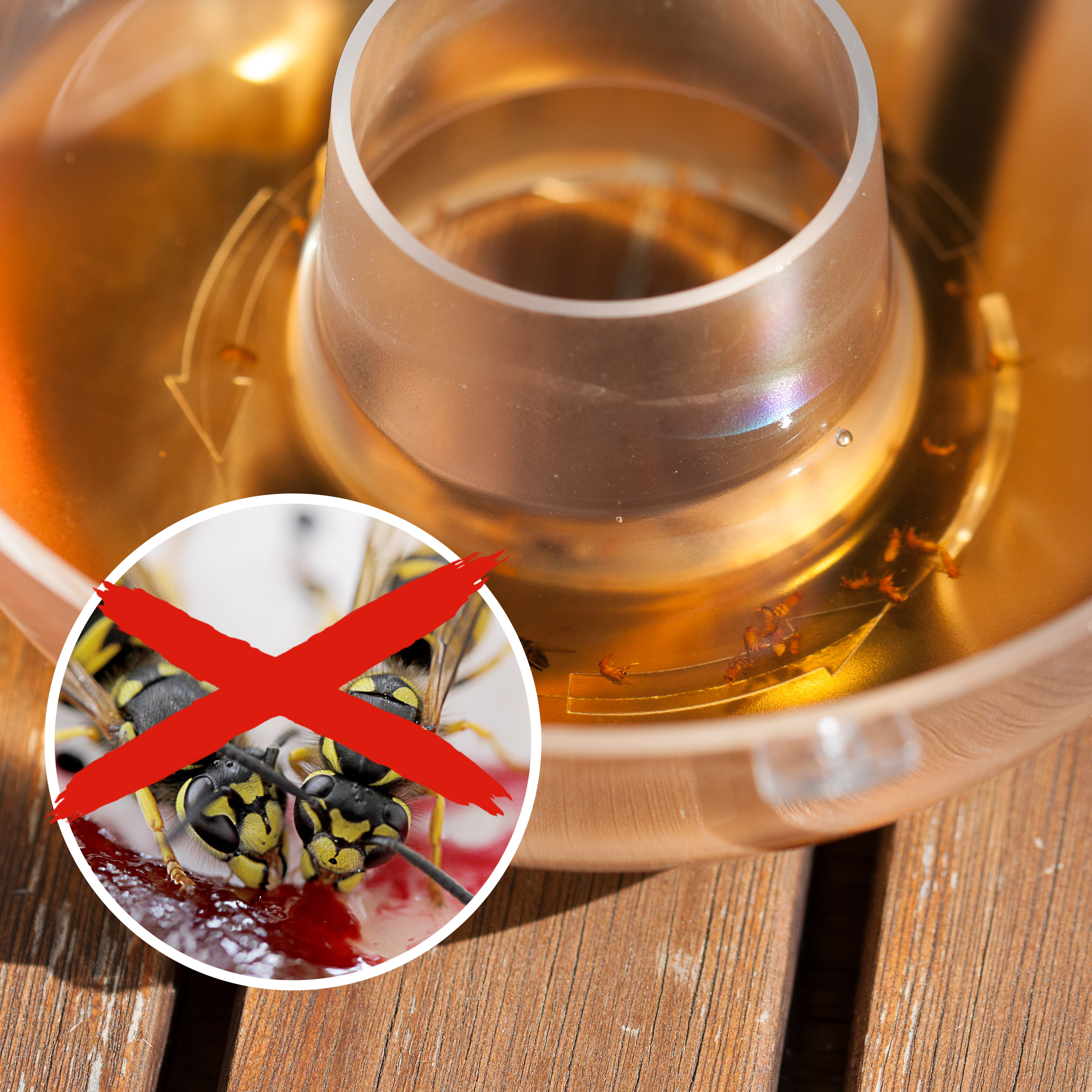 66644-Wespenfaenger-2er-Set-Spatsommer-Kuchen Verwenden Sie als Lockstoff eine Mischung aus Saft, Zucker, Essig & einigen Tropfen Spülmittel um nur Wespen und keine Bienen anzulocken.