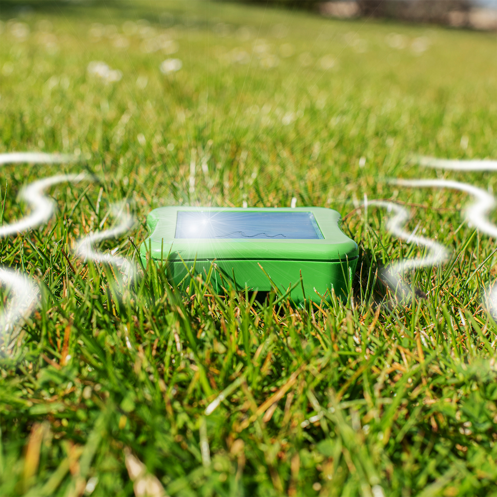 Ameisen im Rasen vertreiben mit Vibrationen