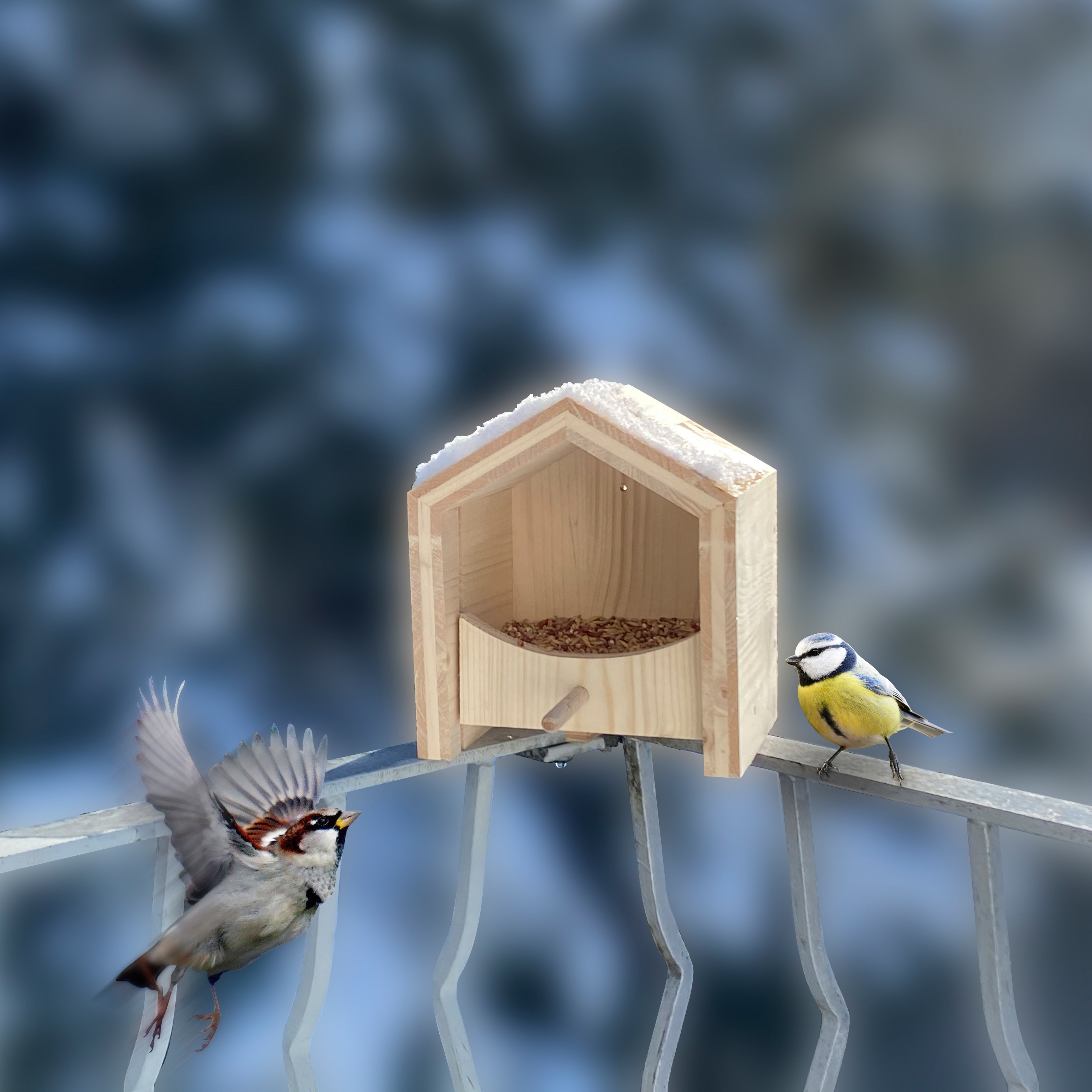 92450-tier-haus-vogel-futterhaus-Spatzen-Weichfutter-Koerner Bei Finken, Sperlingen und Gimpeln sind Körner beliebt und Rotkehlchen, Amseln und Drosseln lieben Weichfutter, wie Rosinen.