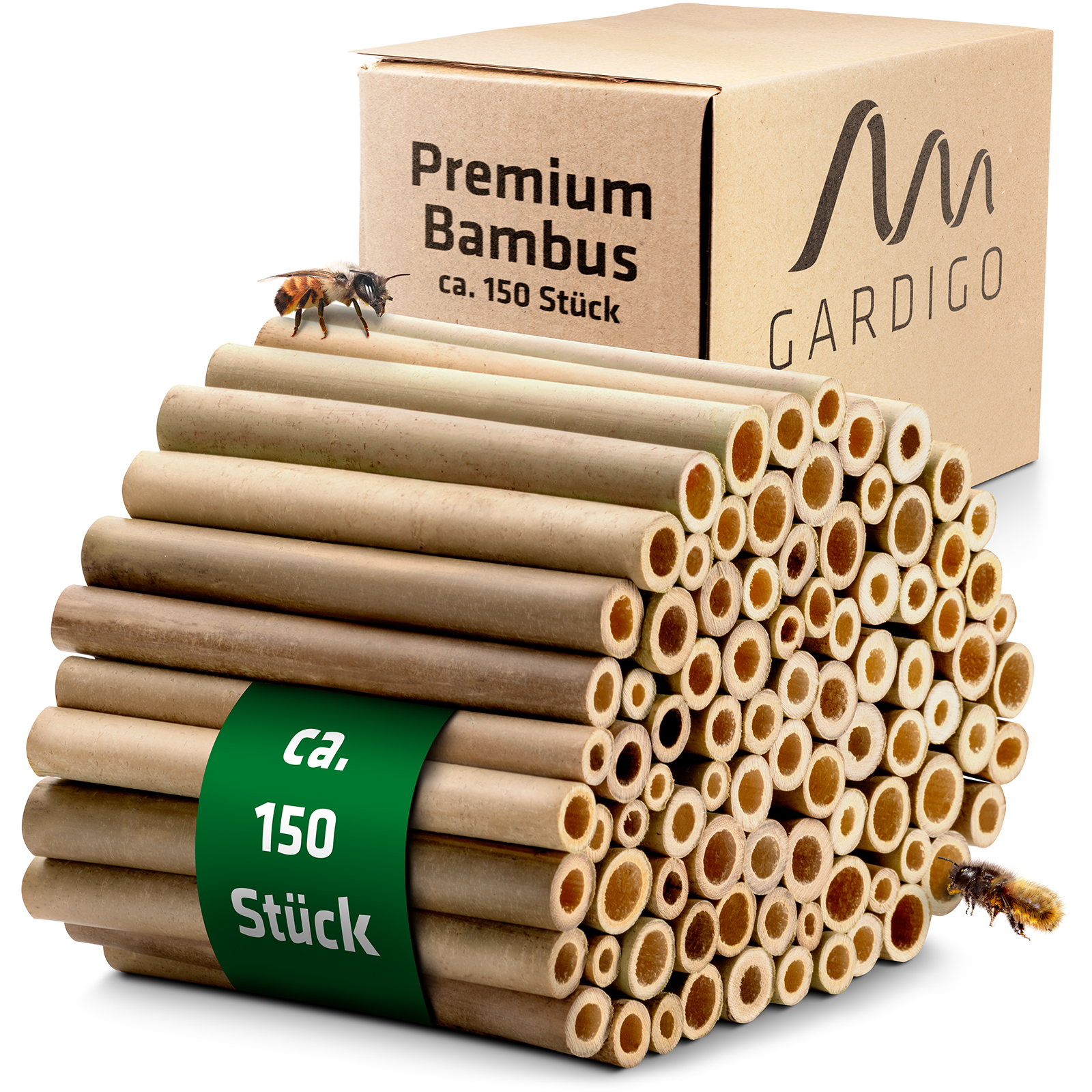 bambus-insektenhotel-90668150 Bambus für Insektenhotels – Premium-Qualität von GARDIGO.