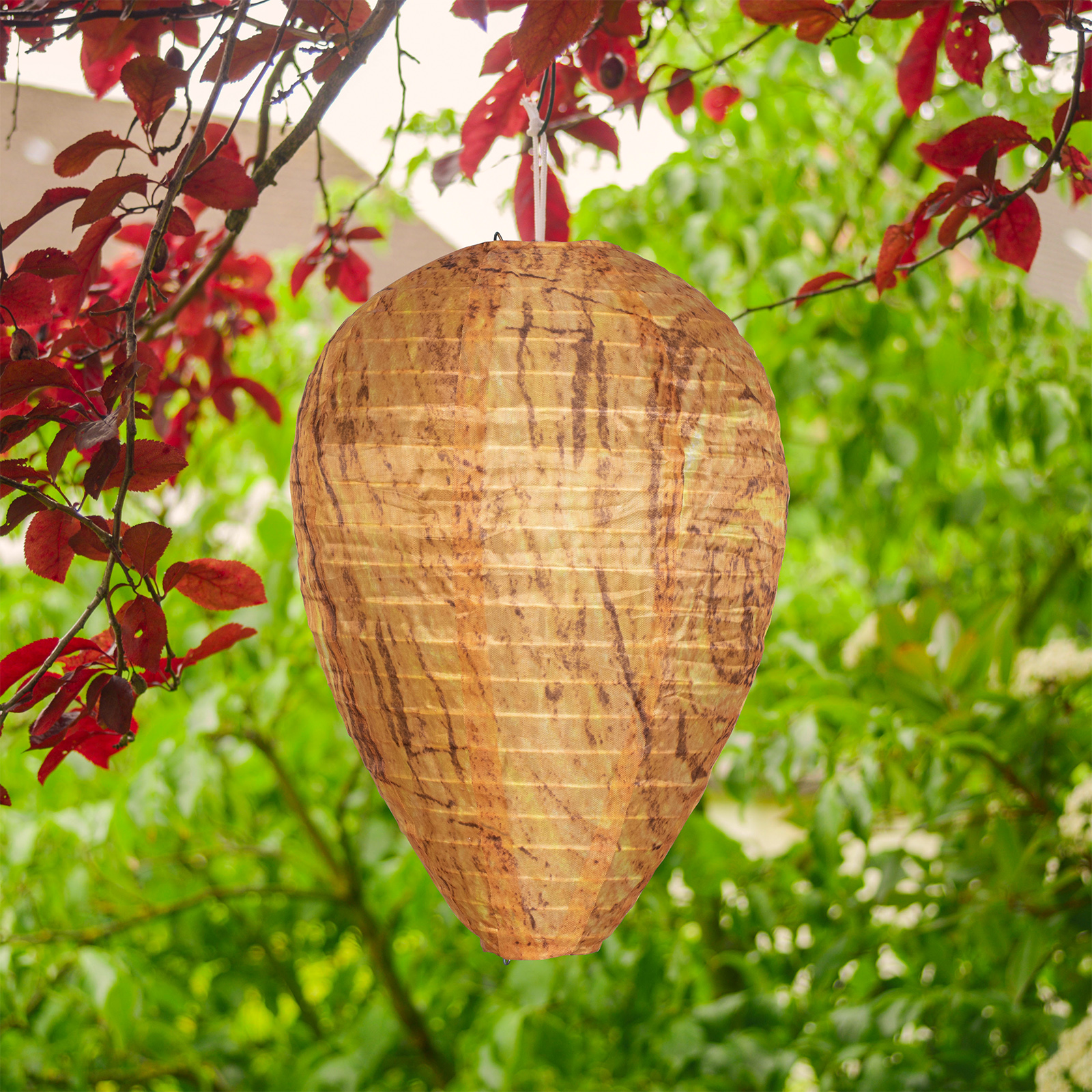 666672_Wespen-Frei-Premium-fu-r-den-GarteniBV184YKRlGEw