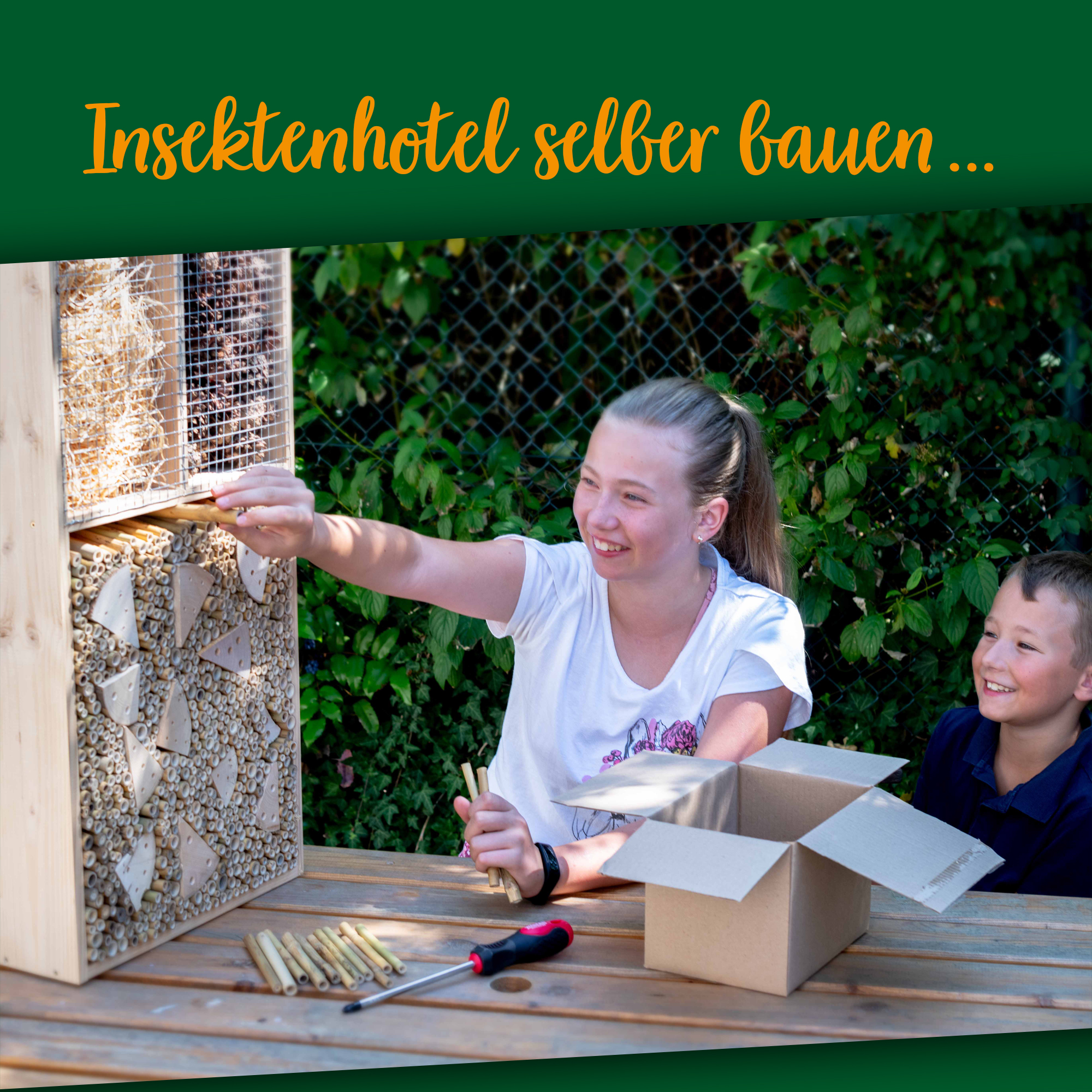 insektenhotel-selber-bauen-90668 Insektenhotel selber bauen mit Bambus
