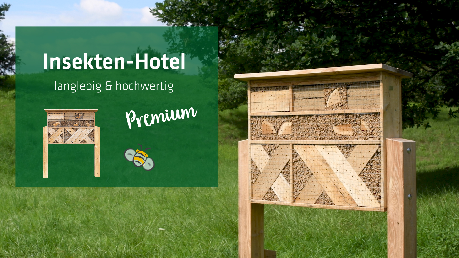 Thumbnail_2 Zum Video
