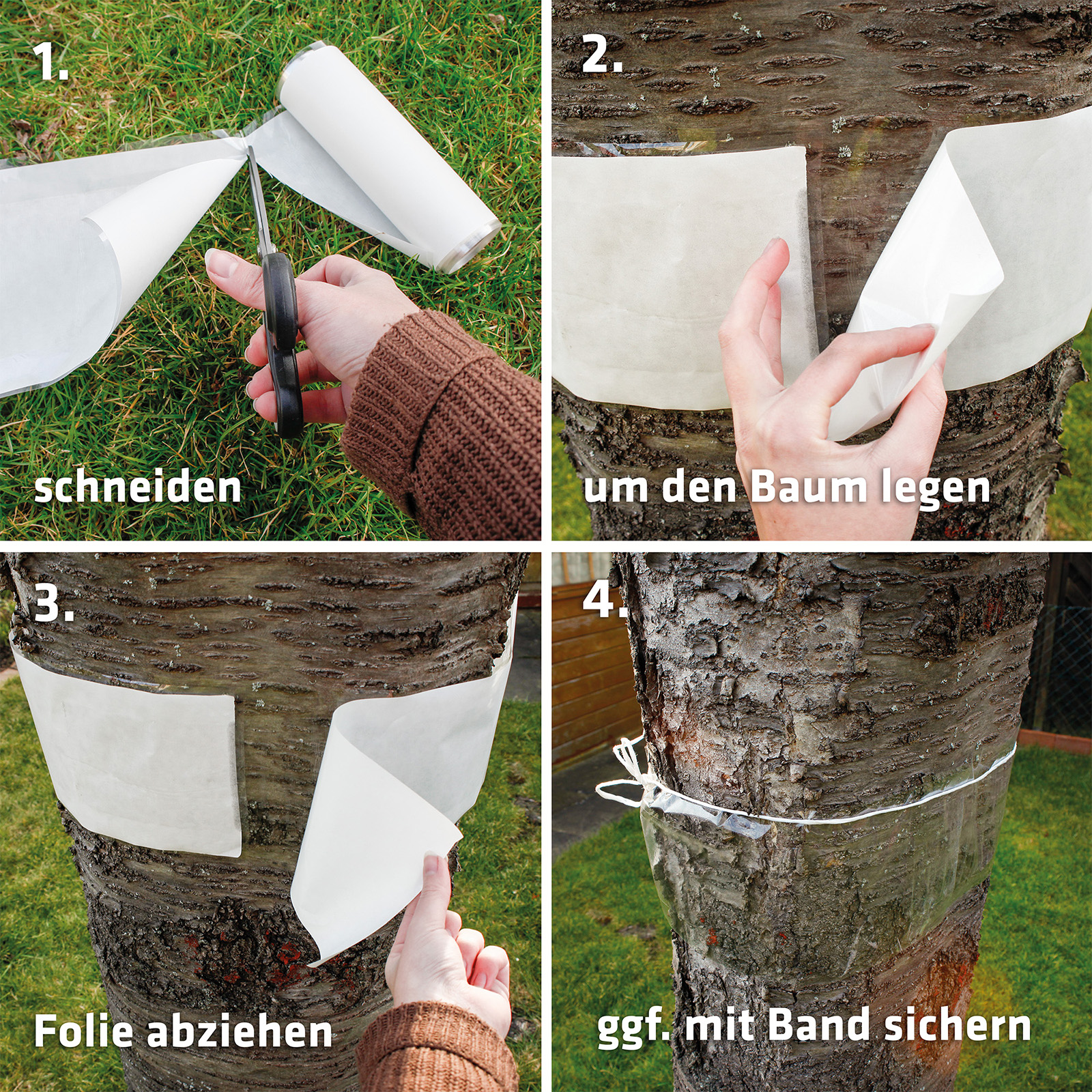 66802-Baum-Leim-Ring-5m-schneiden-anbringen-abziehen-sichern Der Baum-Leim-Ring lässt sich in vier einfachen Schritten an jedem Baum befestigen.