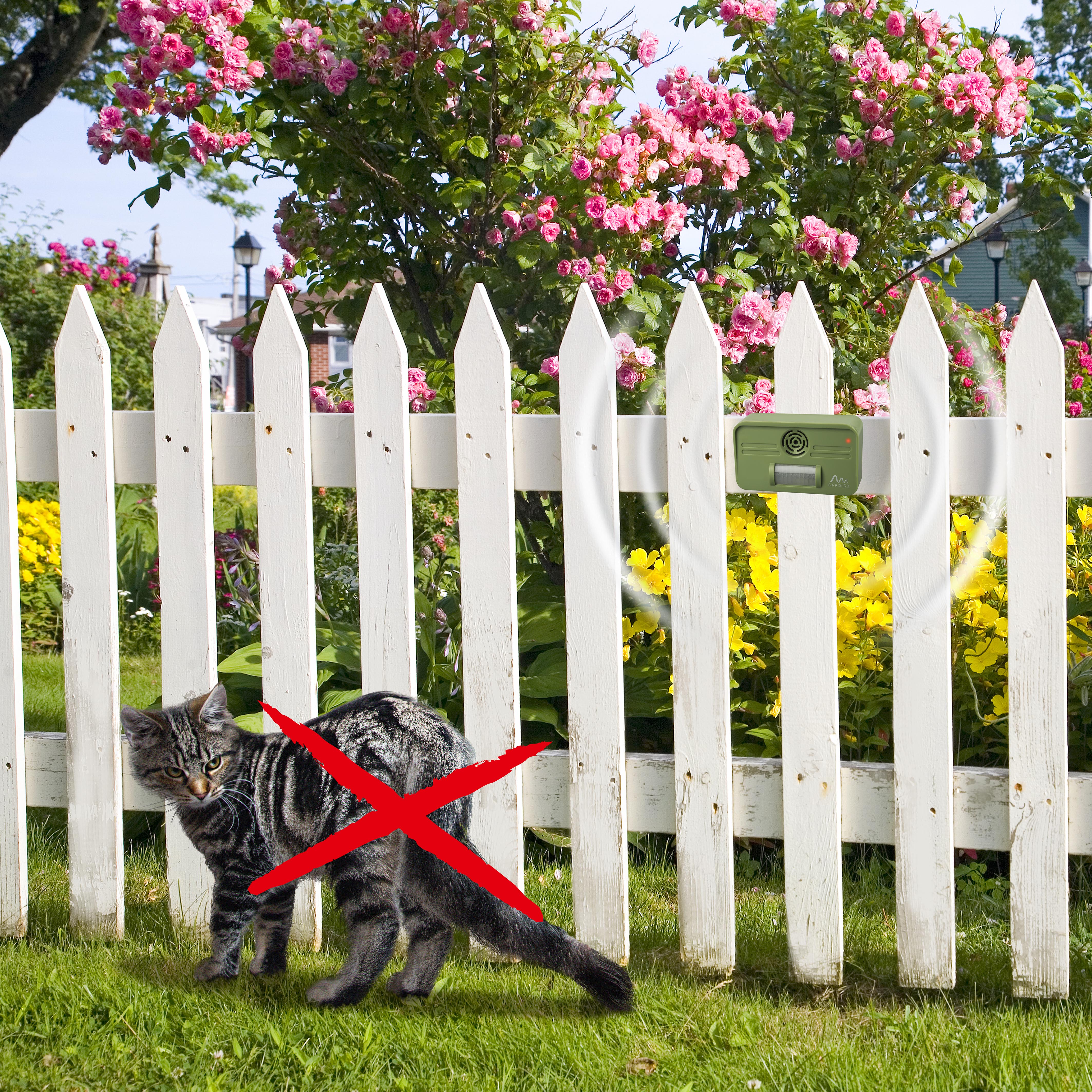 60050-Hunde-Katzen-Abwehr-Katzenschreck Katzen und Hunde werden einen großen Bogen um das Gerät machen.
