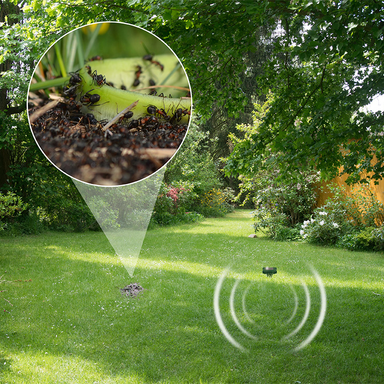 70030-Solar-Maulwurf-Abwehr-gegen-Ameisen-im-Garten Ein Ameisenvolk kann im Garten großen Schaden an den Pflanzen anrichten.