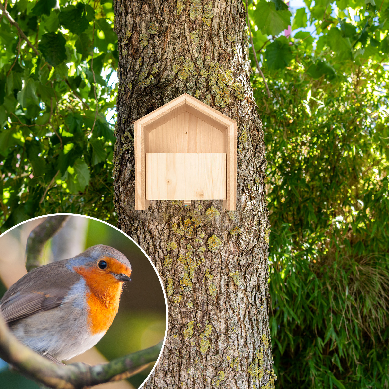92252-tier-haus-halbhoehle-am-Baum-aufhangen Natürliche Halbhöhlen werden seltener aber Sie können eine Nistmöglichkeit in Ihrem Garten schaffen.