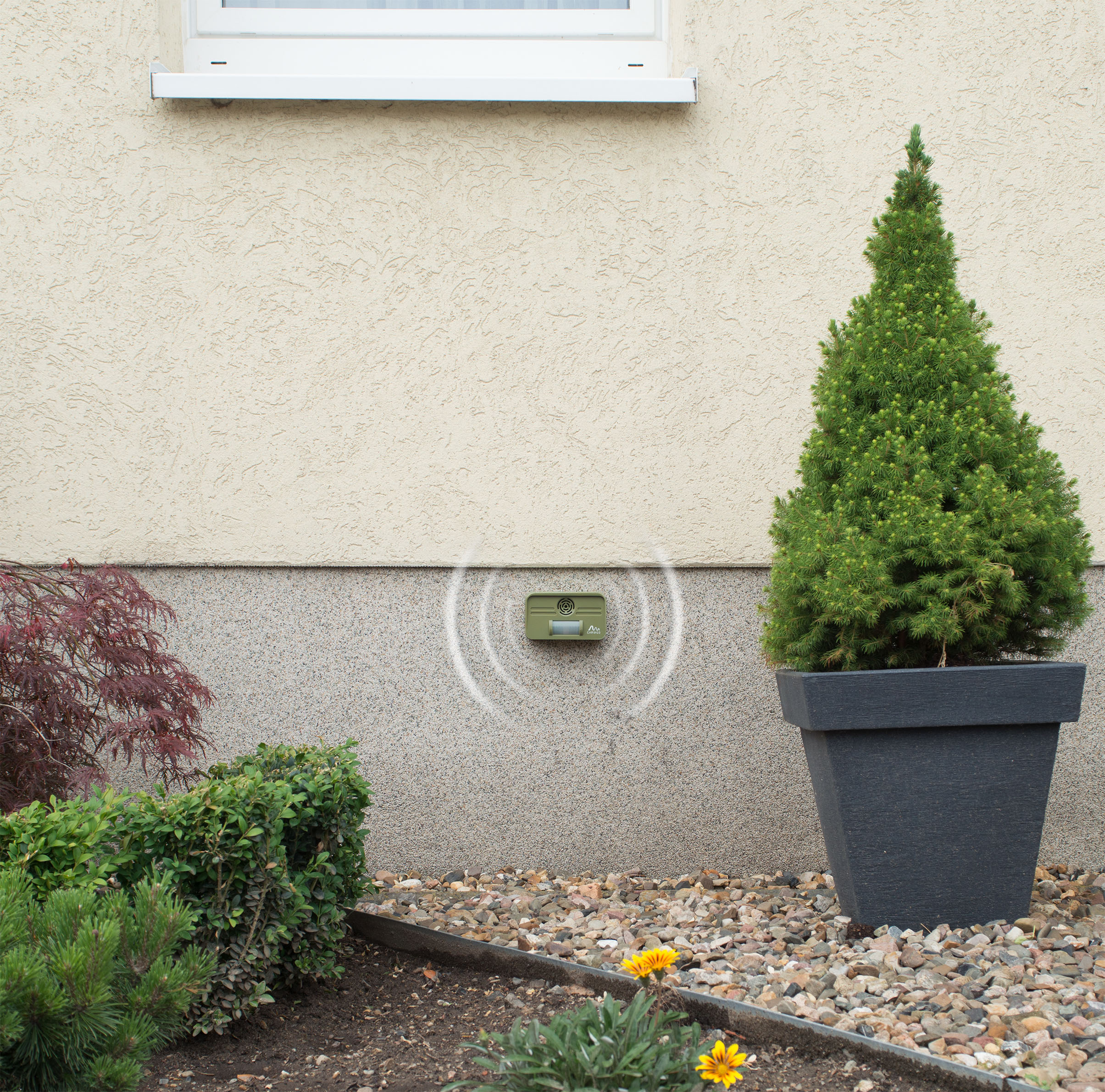 Hauswände und Blumenbeete sind beliebte Toiletten für Hunde und Katzen.