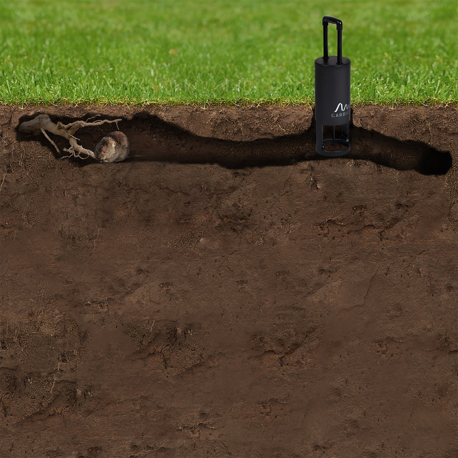 70044-Wuehlmaus-Fallen-Zubehoer-Set-Wuehlmausfallen-aufstellen-Rasen Wühlmäuse graben einen Großteil ihrer Gänge direkt unter dem Rasen und dort setzt man auch die Fallen ein.